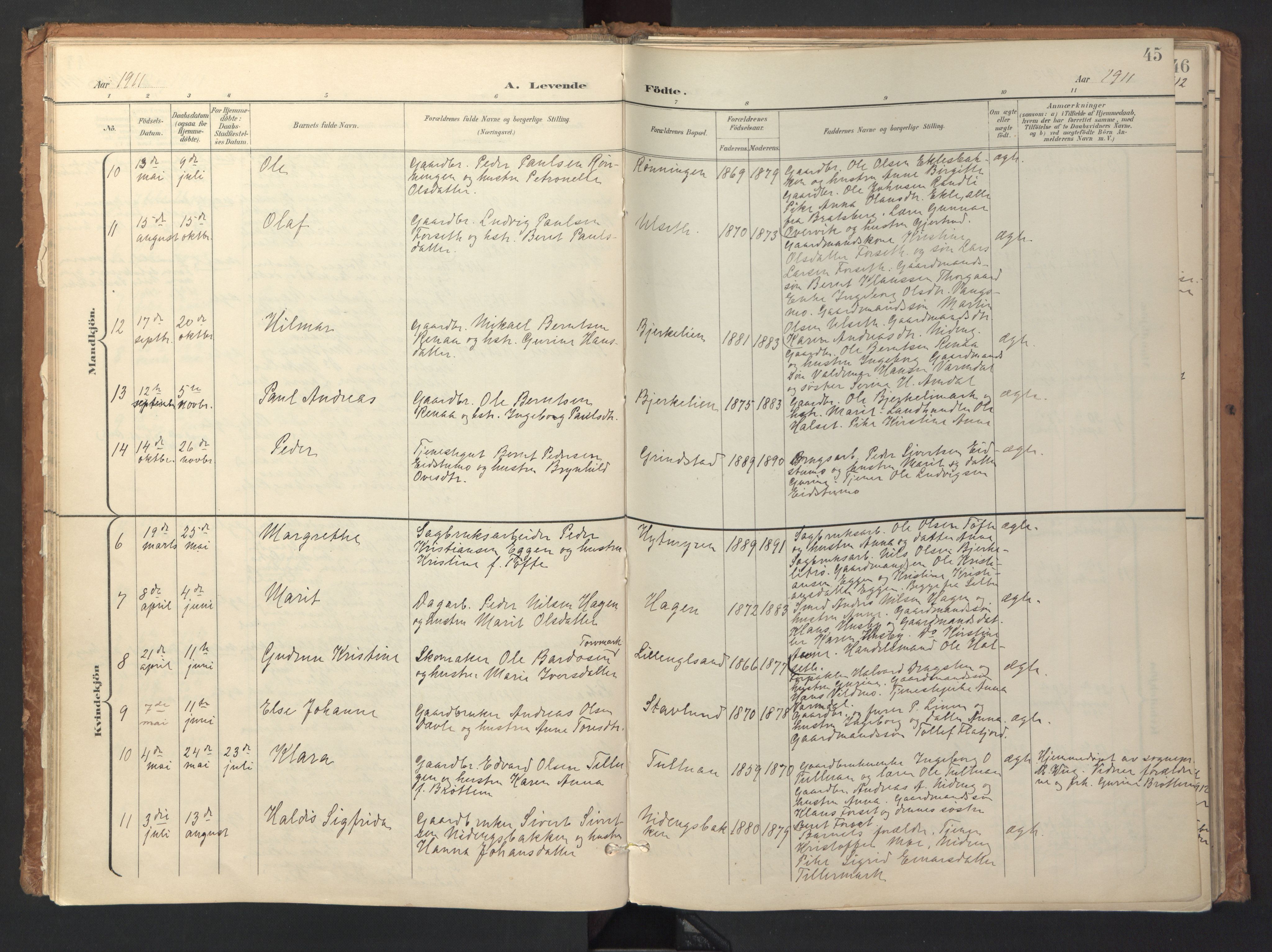 Ministerialprotokoller, klokkerbøker og fødselsregistre - Sør-Trøndelag, SAT/A-1456/618/L0448: Parish register (official) no. 618A11, 1898-1916, p. 45