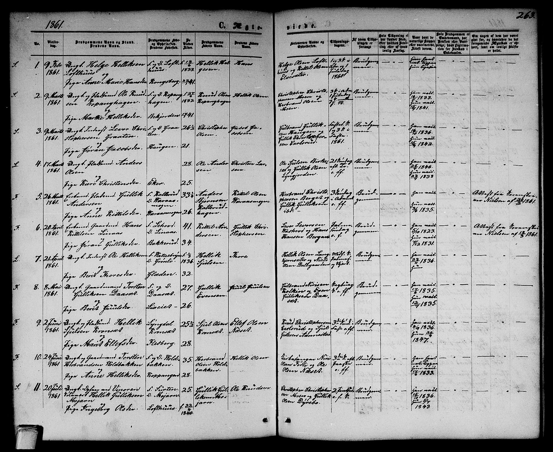 Flesberg kirkebøker, SAKO/A-18/G/Ga/L0003: Parish register (copy) no. I 3, 1861-1889, p. 263