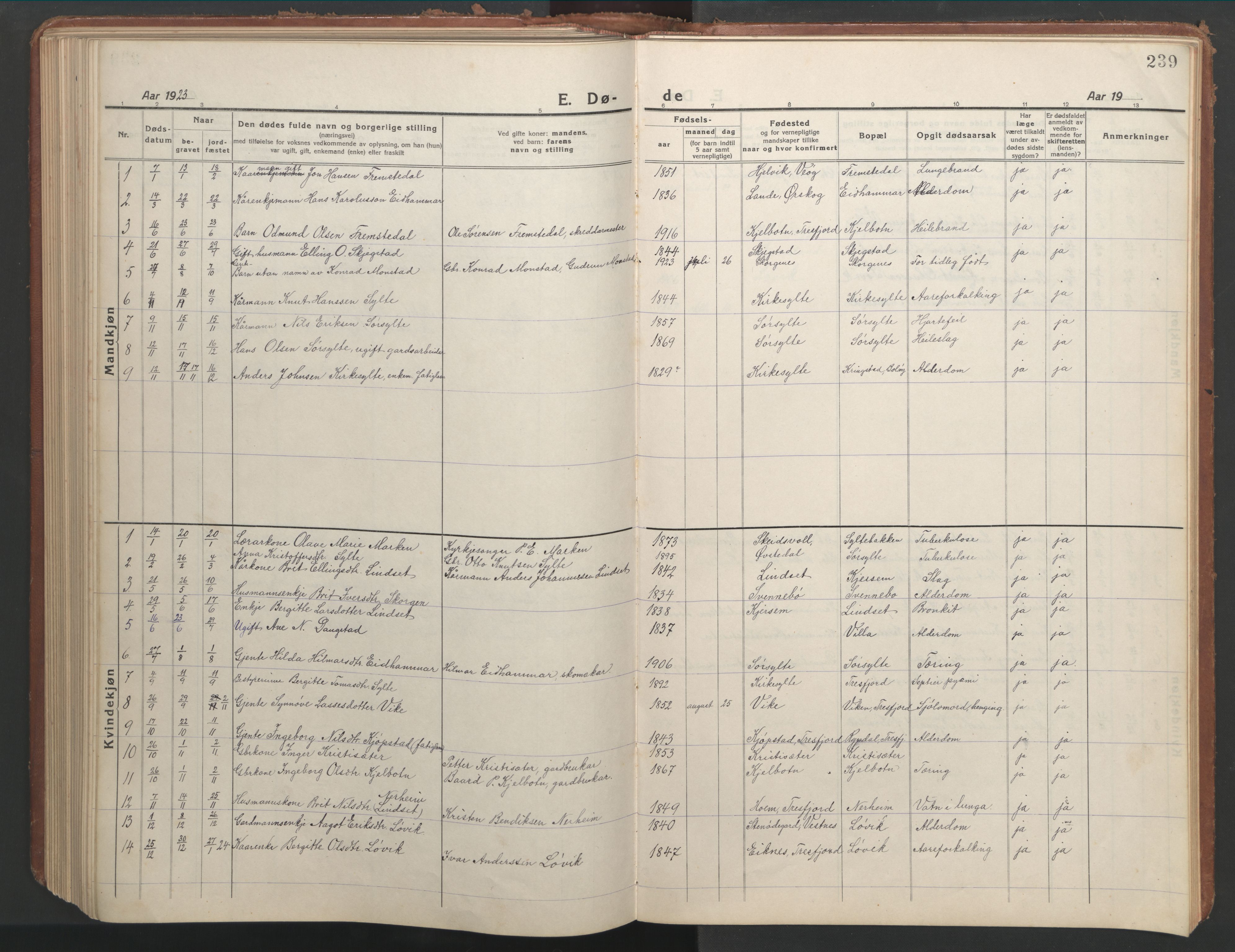 Ministerialprotokoller, klokkerbøker og fødselsregistre - Møre og Romsdal, AV/SAT-A-1454/541/L0548: Parish register (copy) no. 541C03, 1921-1960, p. 239