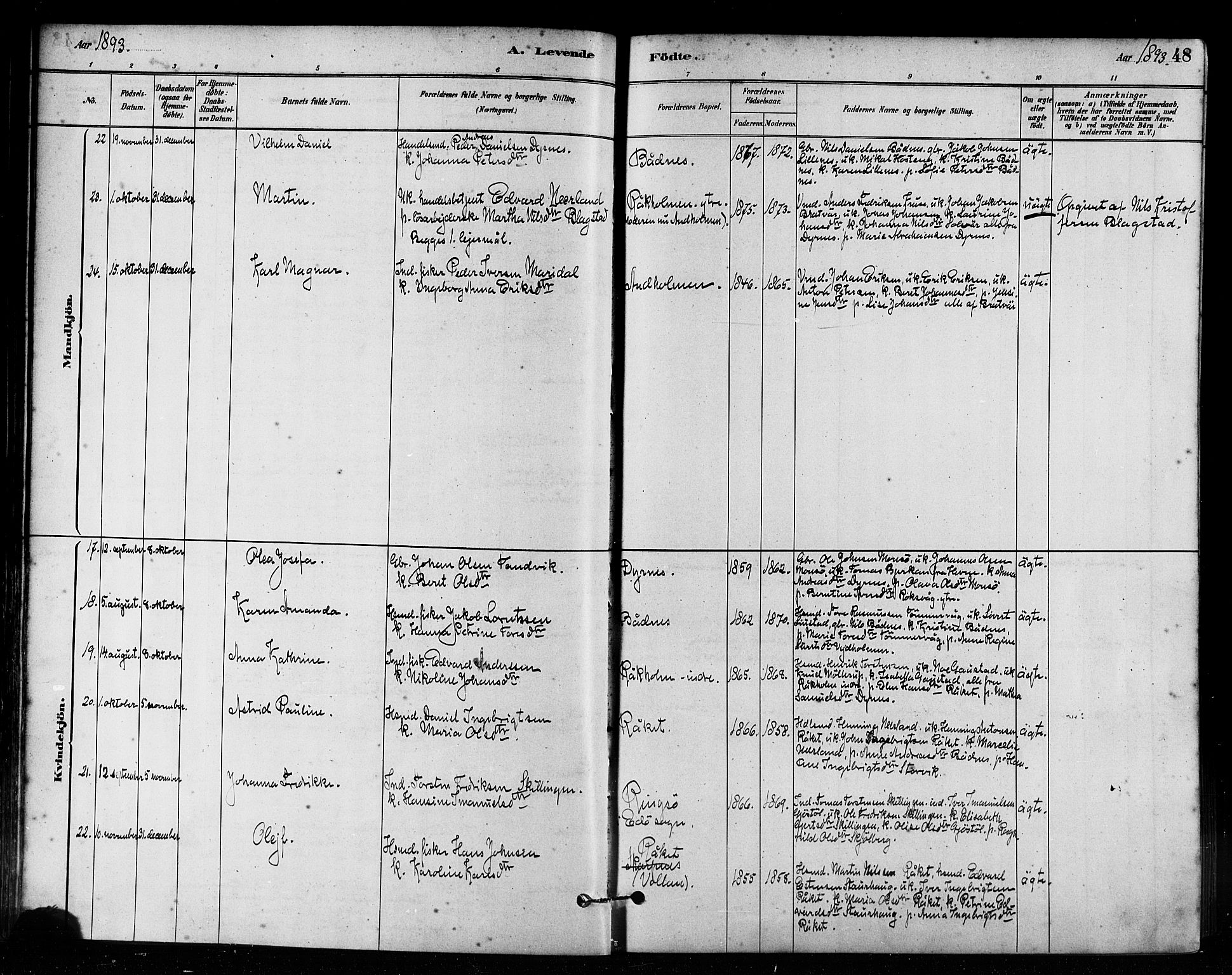 Ministerialprotokoller, klokkerbøker og fødselsregistre - Møre og Romsdal, AV/SAT-A-1454/582/L0947: Parish register (official) no. 582A01, 1880-1900, p. 48
