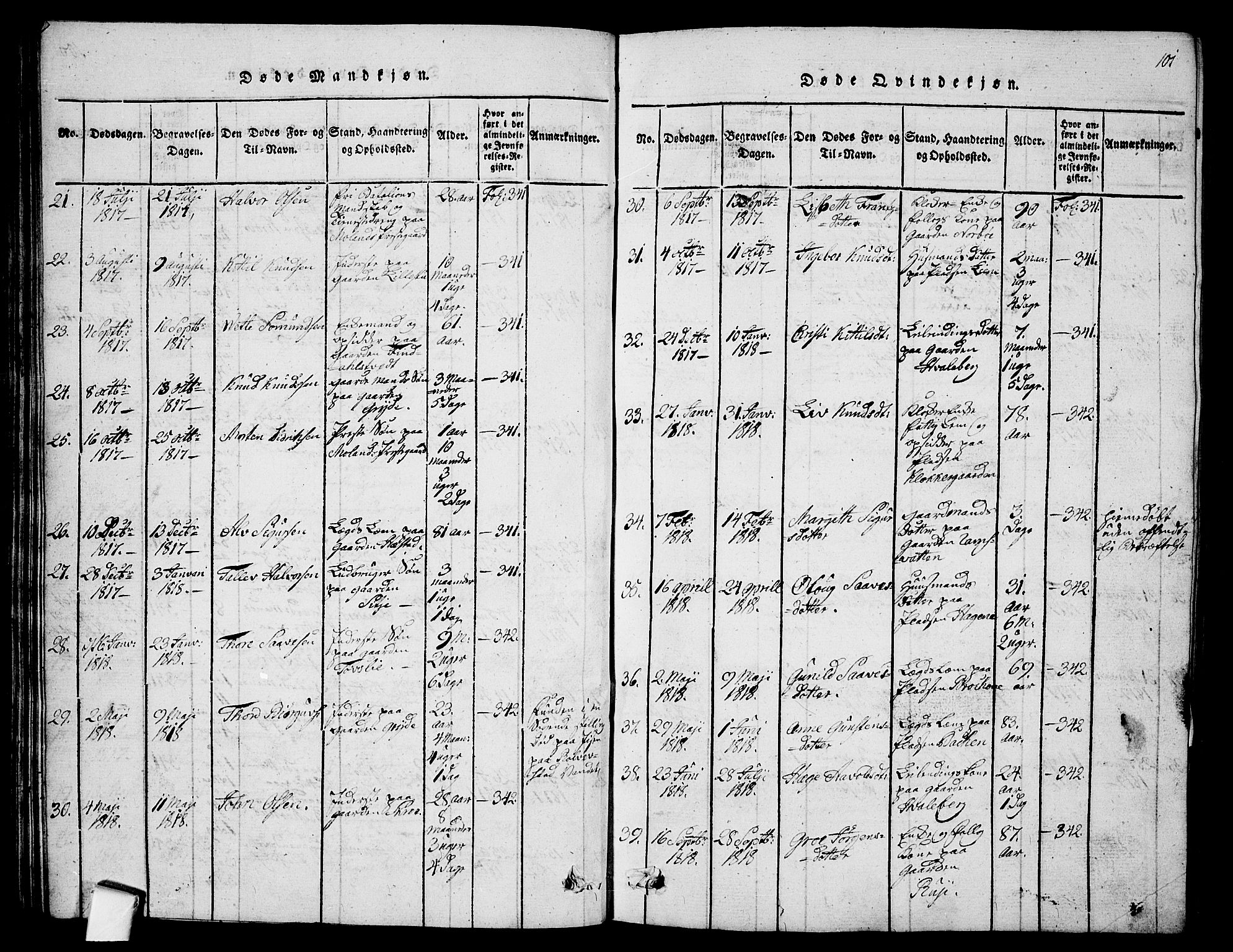 Fyresdal kirkebøker, SAKO/A-263/G/Ga/L0001: Parish register (copy) no. I 1, 1816-1840, p. 101