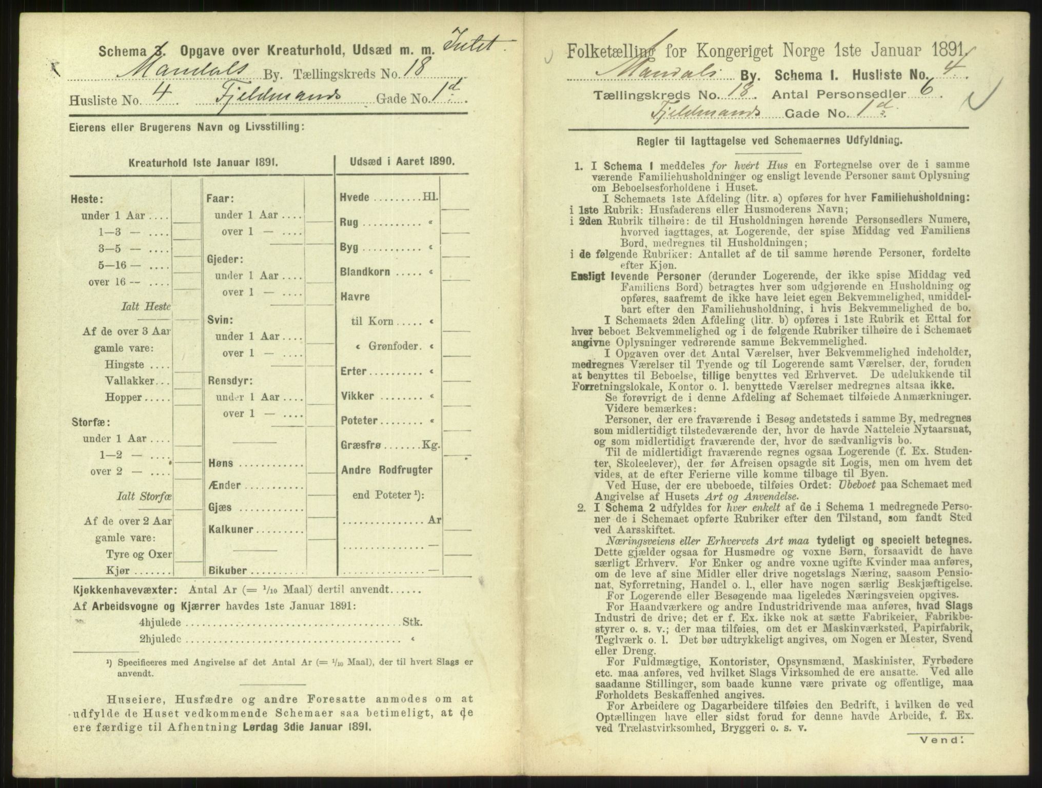 RA, 1891 census for 1002 Mandal, 1891, p. 823