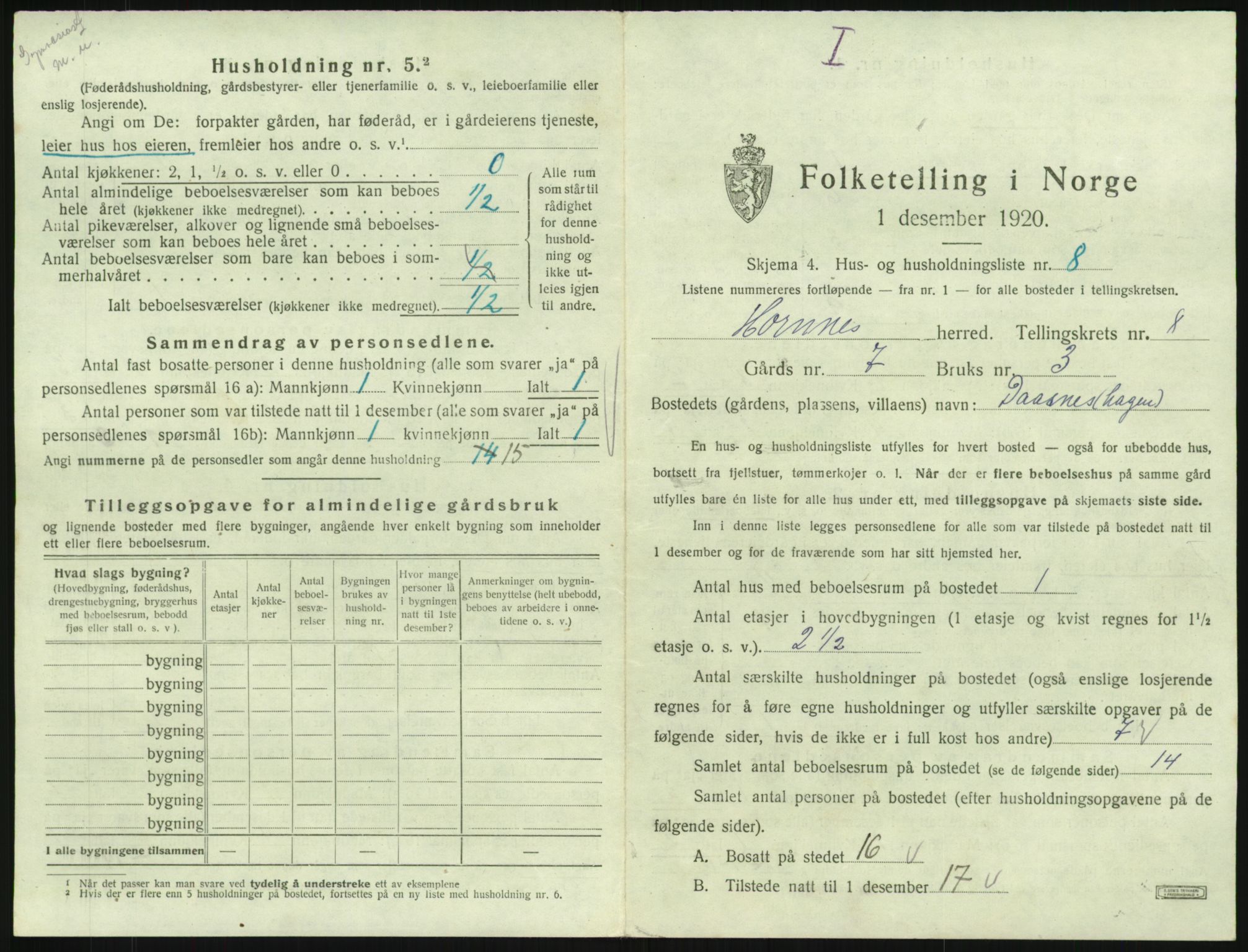 SAK, 1920 census for Hornnes, 1920, p. 307