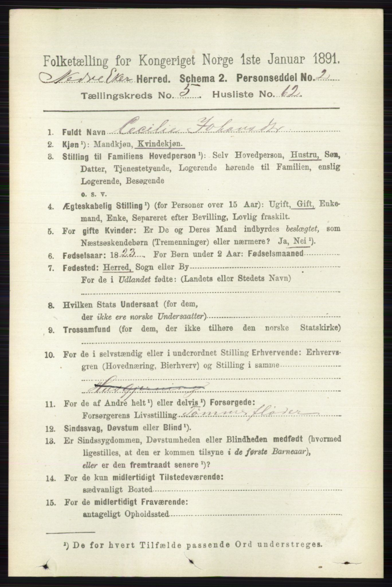 RA, 1891 census for 0625 Nedre Eiker, 1891, p. 2706