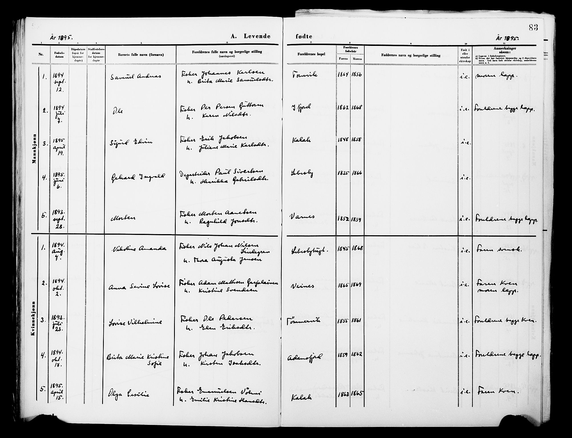Lebesby sokneprestkontor, SATØ/S-1353/H/Ha/L0004kirke: Parish register (official) no. 4, 1870-1902, p. 83