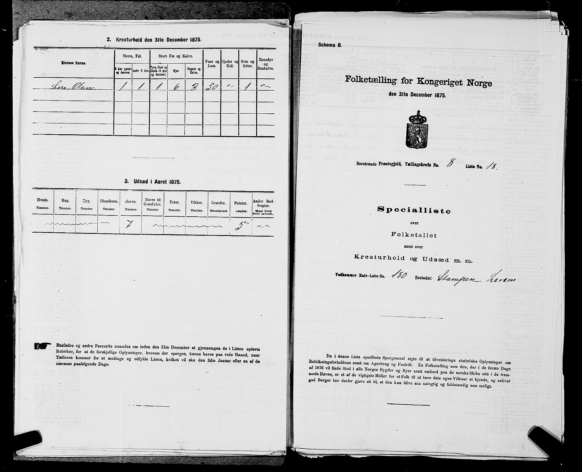 SAST, 1875 census for 1139P Nedstrand, 1875, p. 893