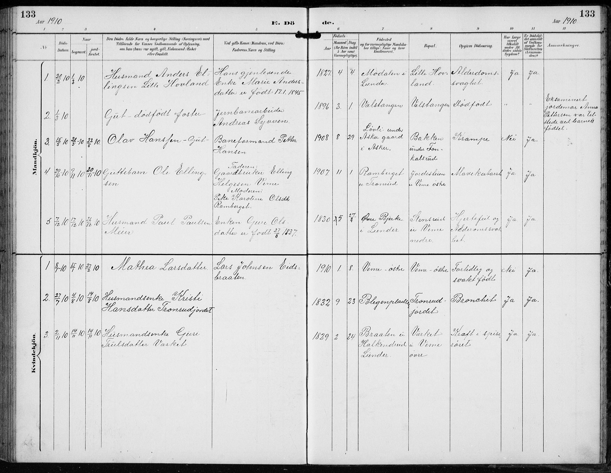 Lunder kirkebøker, AV/SAKO-A-629/F/Fb/L0001: Parish register (official) no. II 1, 1893-1916, p. 133