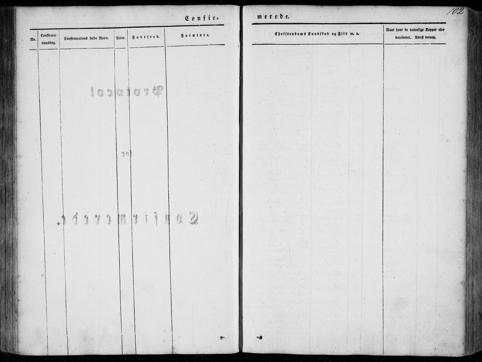 Stryn Sokneprestembete, AV/SAB-A-82501: Parish register (official) no. A 2, 1844-1861, p. 102