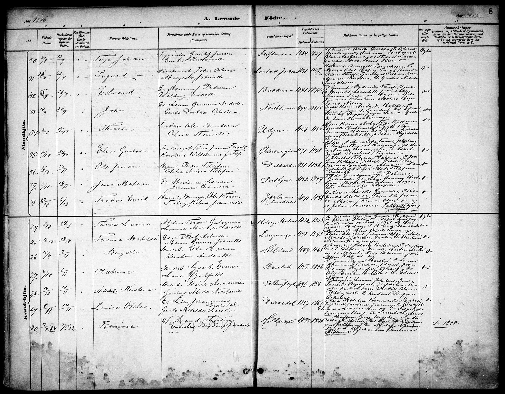 Hommedal sokneprestkontor, AV/SAK-1111-0023/F/Fb/Fbb/L0007: Parish register (copy) no. B 7, 1885-1904, p. 8