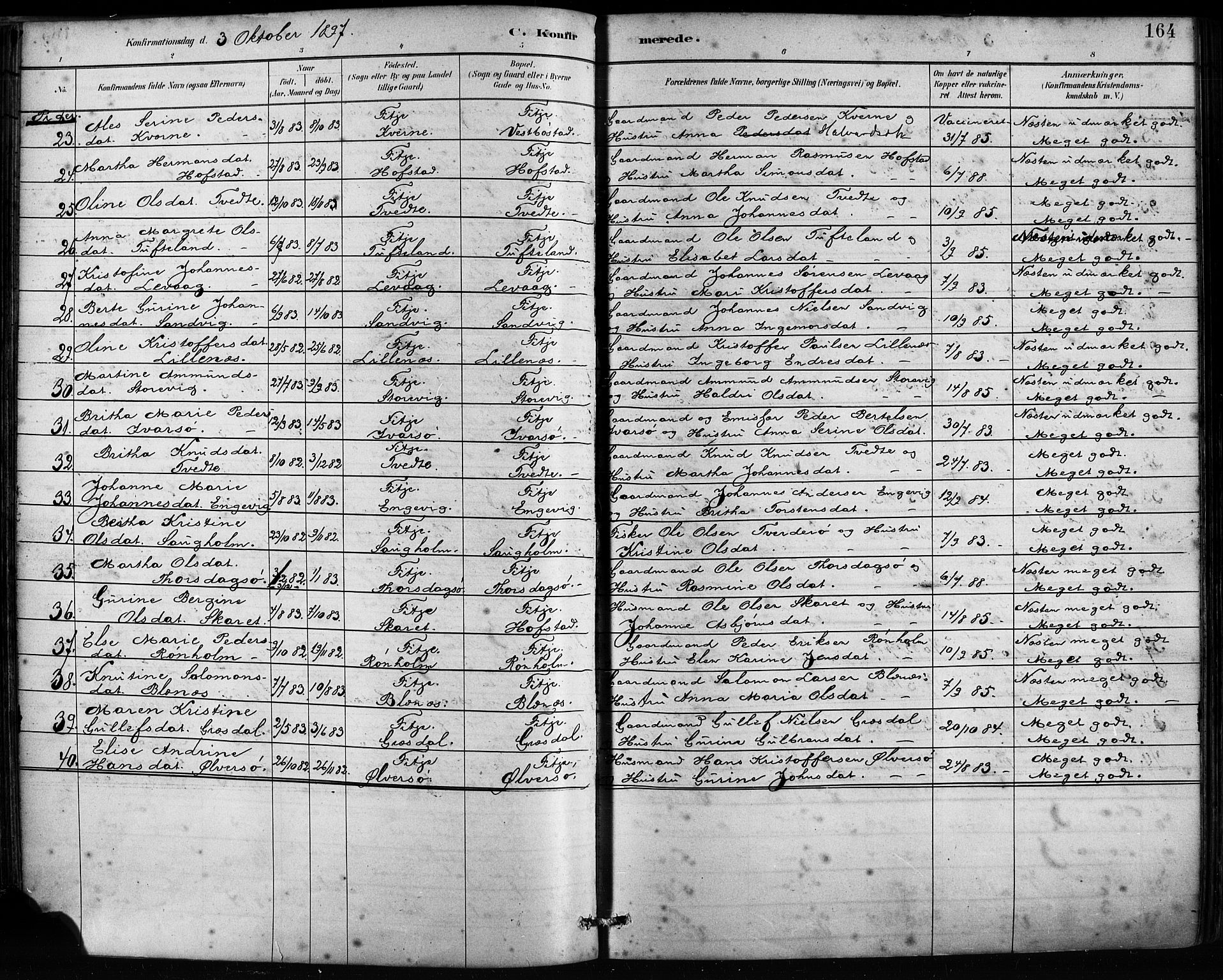 Fitjar sokneprestembete, AV/SAB-A-99926: Parish register (official) no. A 2, 1882-1899, p. 164