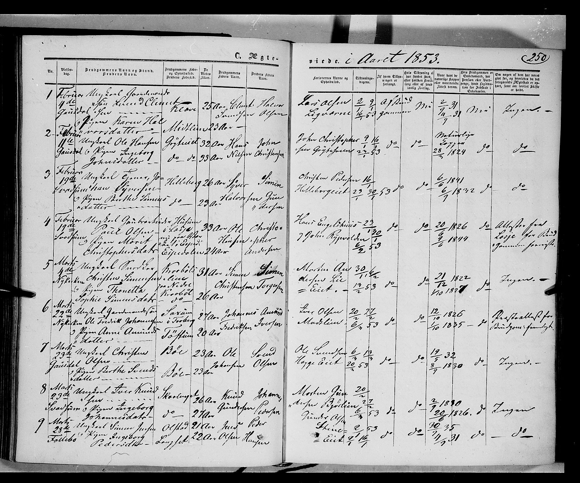 Gausdal prestekontor, SAH/PREST-090/H/Ha/Haa/L0008: Parish register (official) no. 8, 1850-1861, p. 250