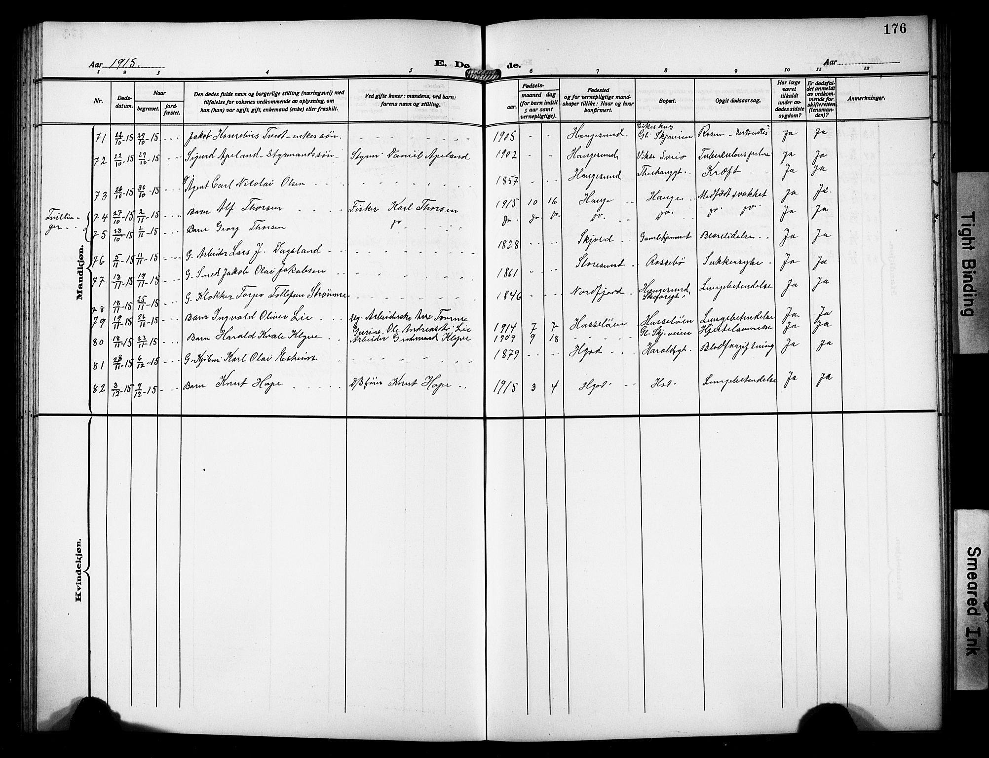 Haugesund sokneprestkontor, AV/SAST-A -101863/H/Ha/Hab/L0008: Parish register (copy) no. B 8, 1909-1921, p. 176