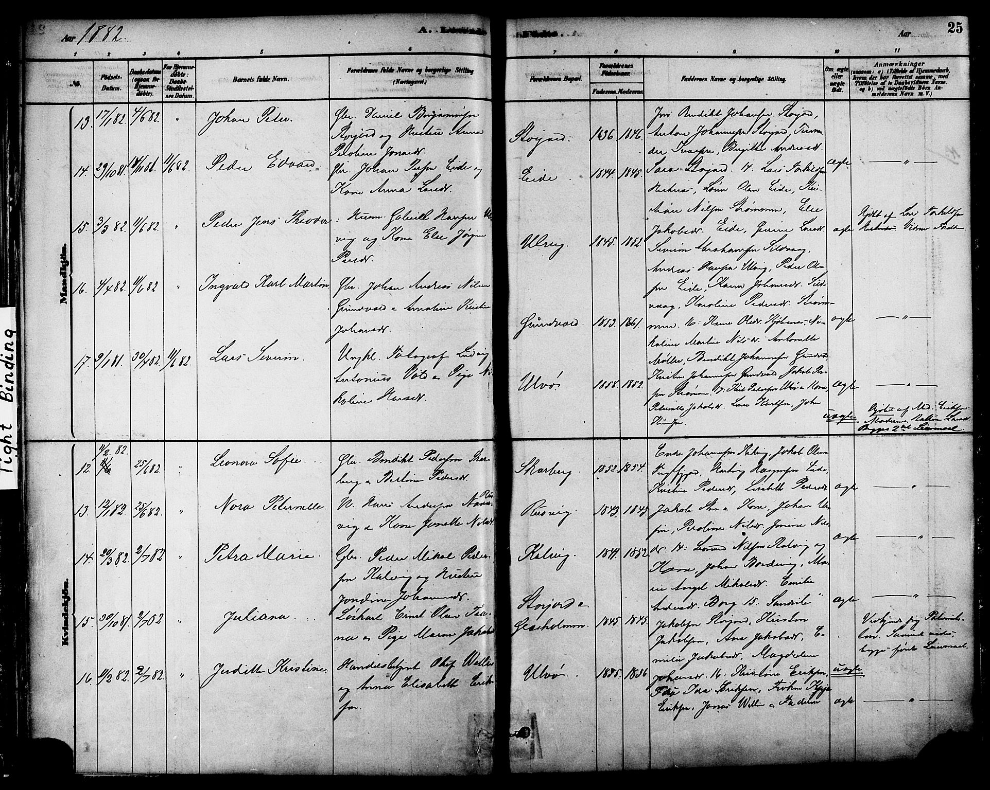 Ministerialprotokoller, klokkerbøker og fødselsregistre - Nordland, AV/SAT-A-1459/861/L0868: Parish register (official) no. 861A03, 1879-1889, p. 25