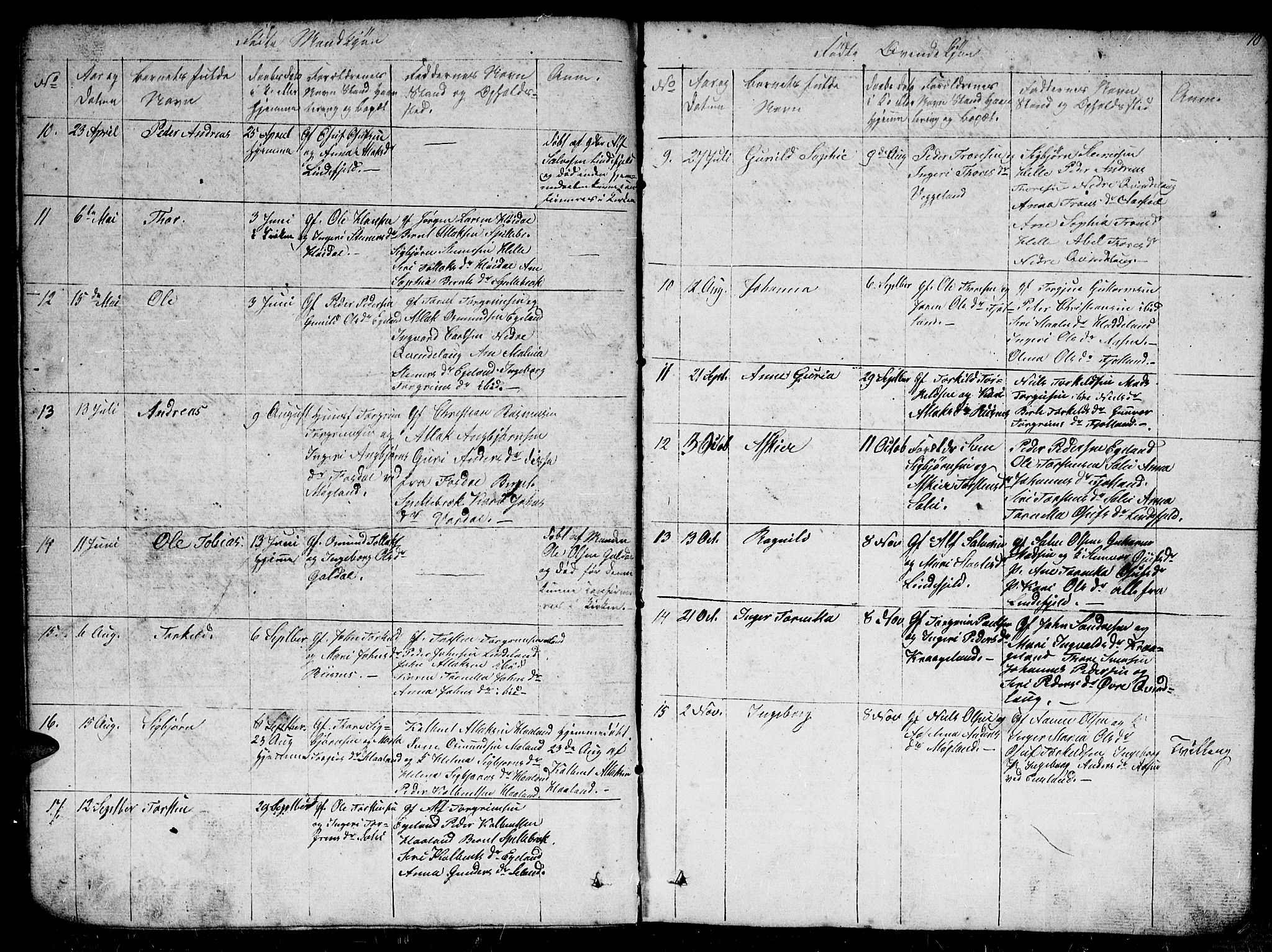 Fjotland sokneprestkontor, AV/SAK-1111-0010/F/Fb/L0002: Parish register (copy) no. B 2, 1841-1871, p. 10