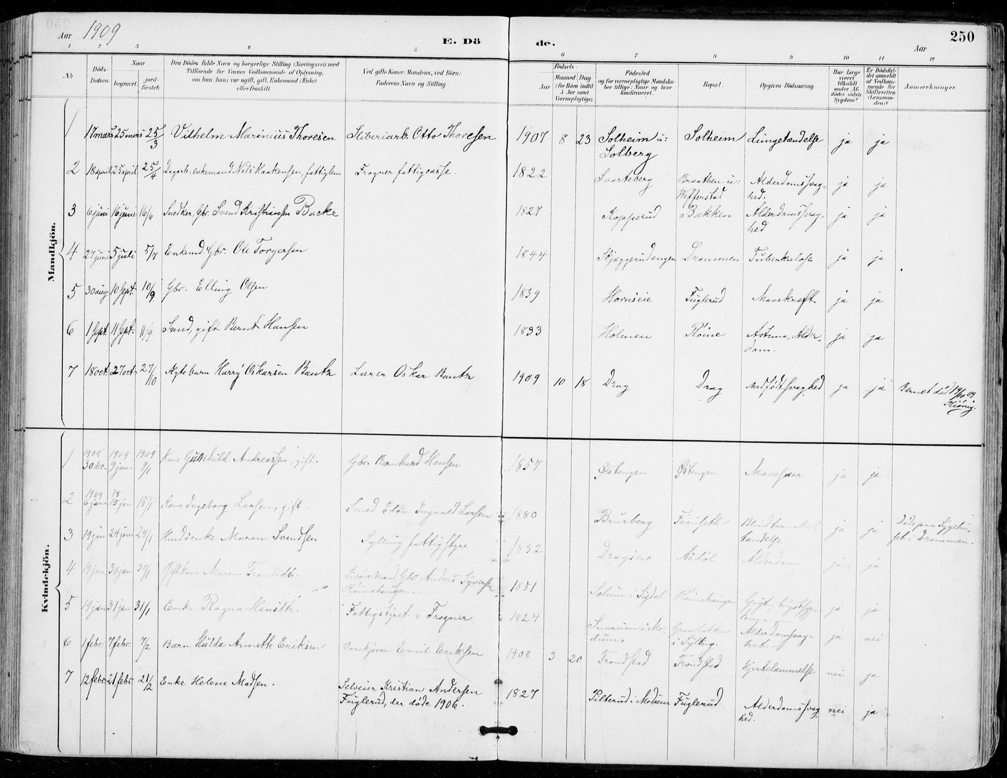 Sylling kirkebøker, SAKO/A-247/F/Fa/L0001: Parish register (official) no. 1, 1883-1910, p. 250