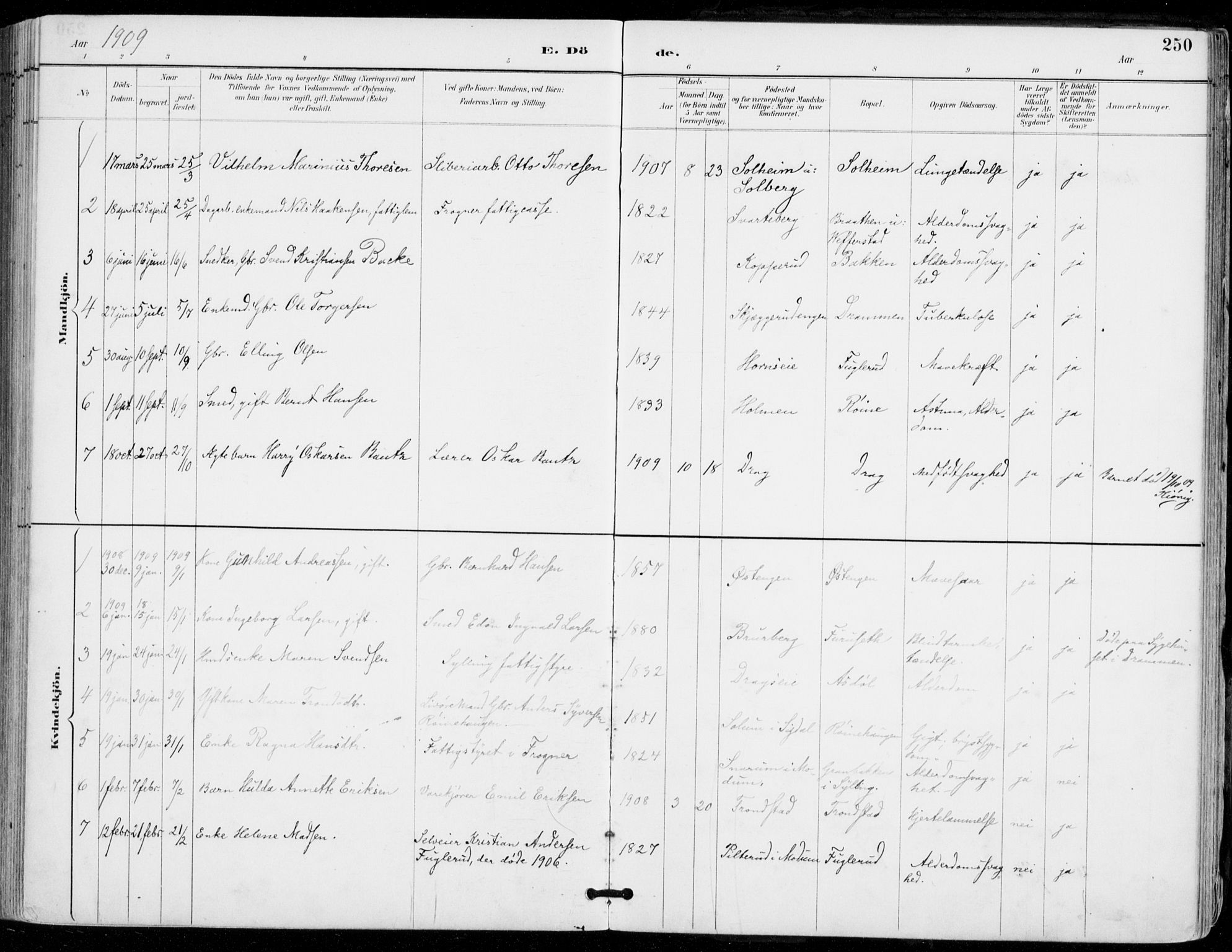 Sylling kirkebøker, AV/SAKO-A-247/F/Fa/L0001: Parish register (official) no. 1, 1883-1910, p. 250