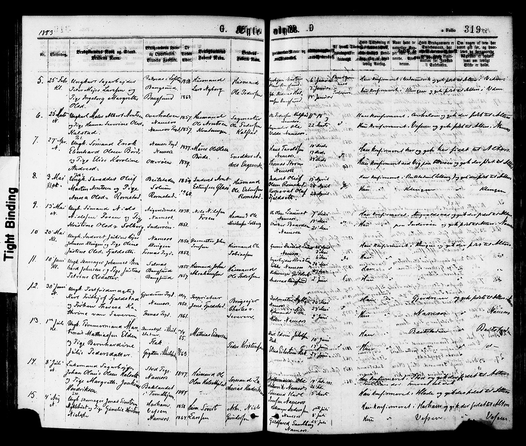 Ministerialprotokoller, klokkerbøker og fødselsregistre - Nord-Trøndelag, SAT/A-1458/768/L0572: Parish register (official) no. 768A07, 1874-1886, p. 319