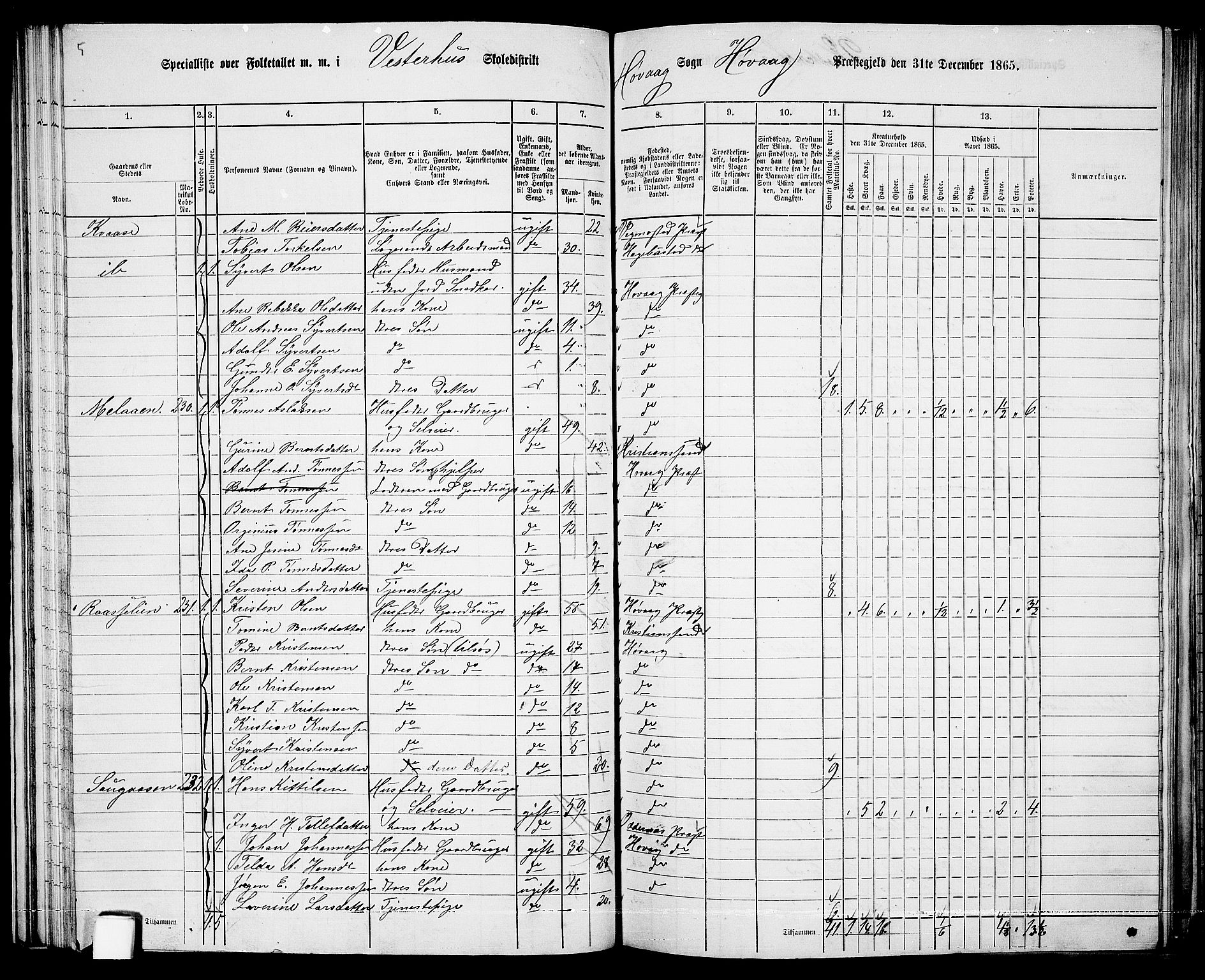 RA, 1865 census for Høvåg, 1865, p. 64