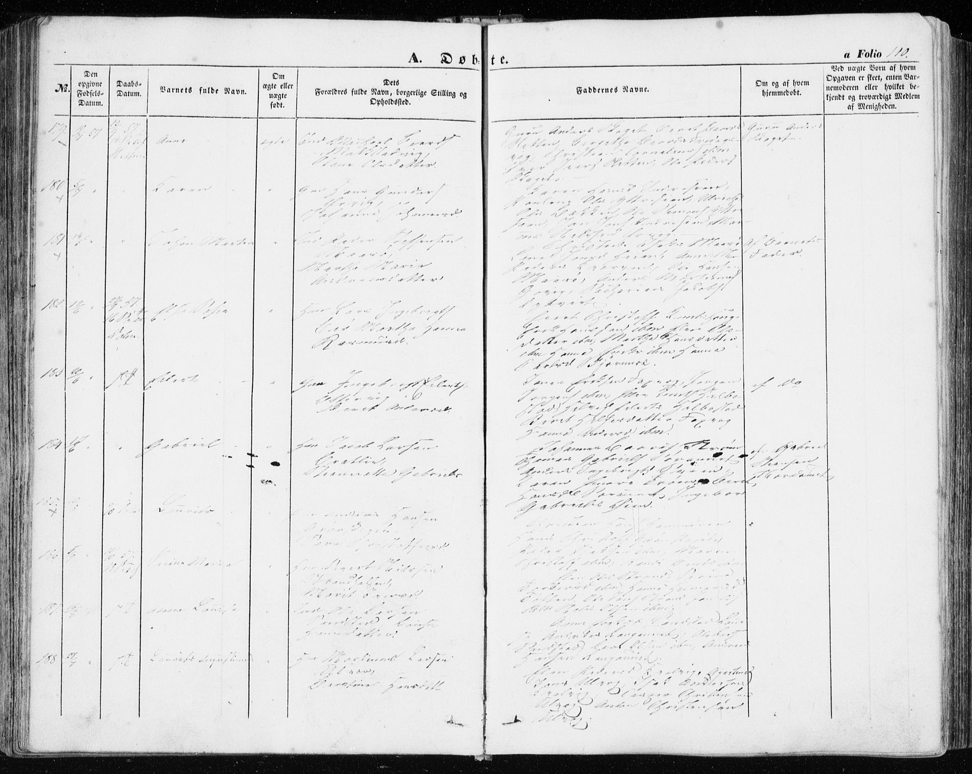 Ministerialprotokoller, klokkerbøker og fødselsregistre - Sør-Trøndelag, AV/SAT-A-1456/634/L0530: Parish register (official) no. 634A06, 1852-1860, p. 110