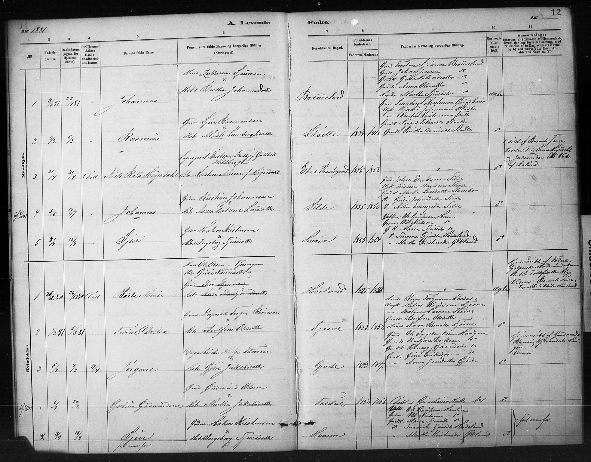 Etne sokneprestembete, SAB/A-75001/H/Hab: Parish register (copy) no. A 5, 1879-1896, p. 12