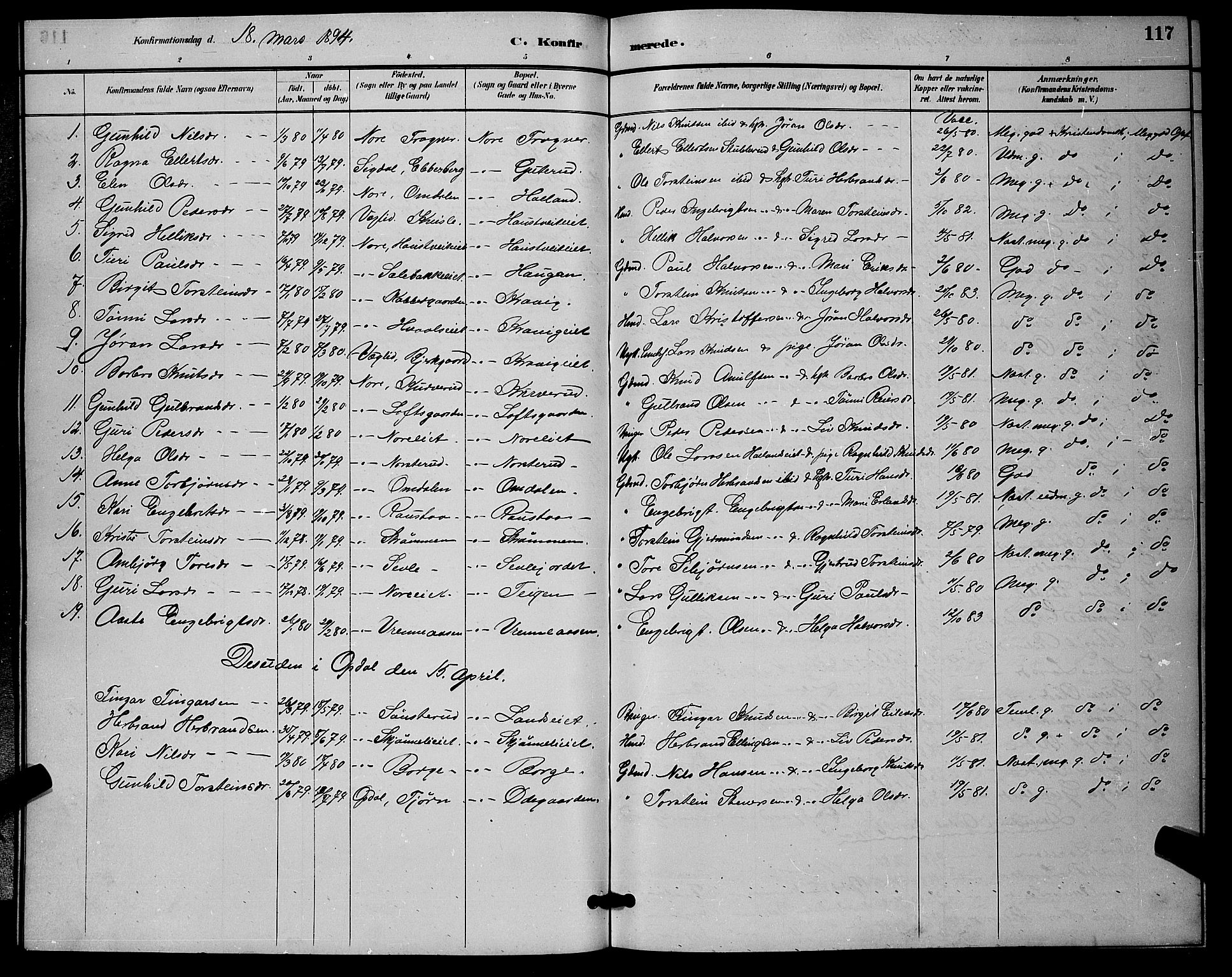 Nore kirkebøker, AV/SAKO-A-238/G/Ga/L0003: Parish register (copy) no. I 3, 1886-1903, p. 117