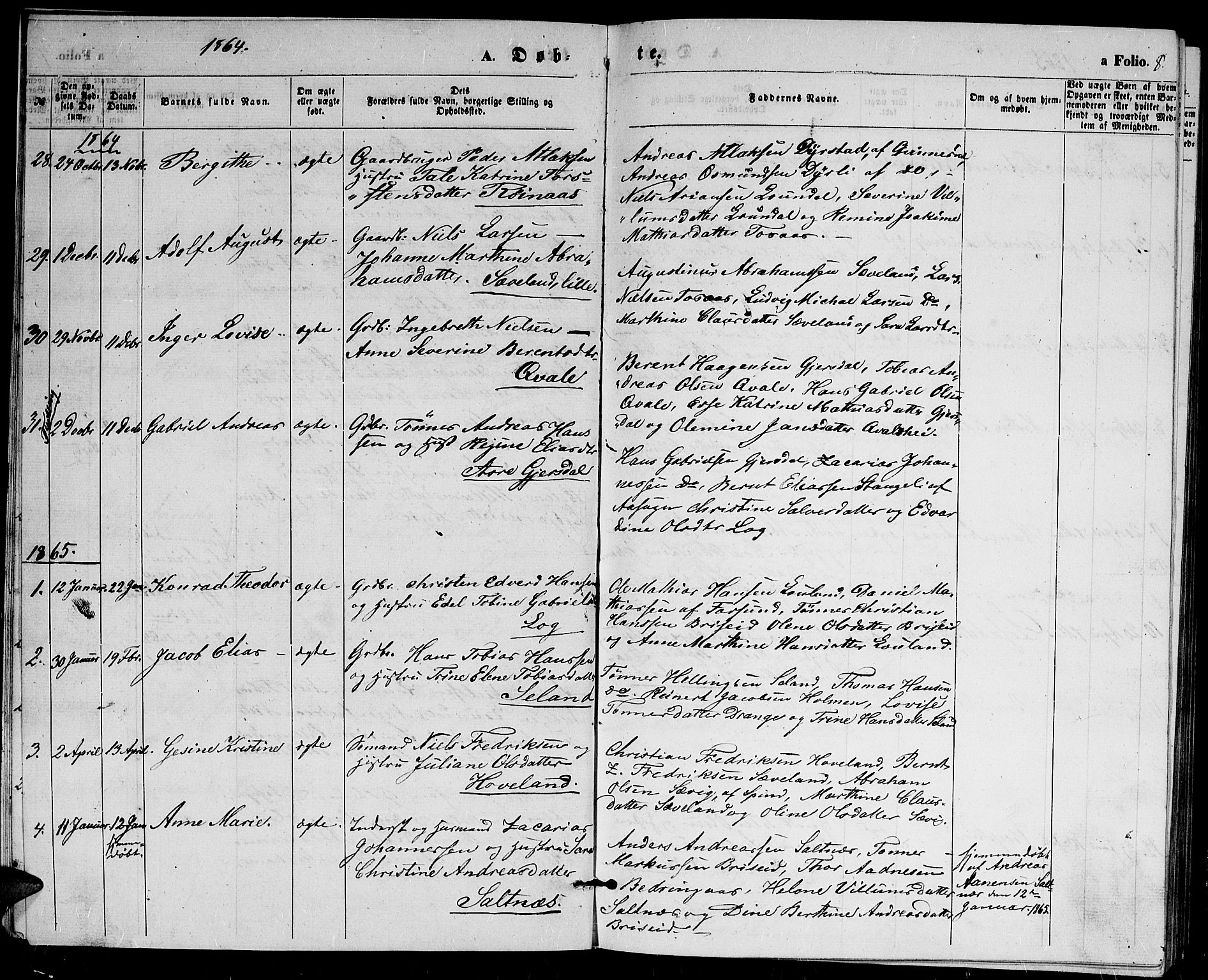 Herad sokneprestkontor, SAK/1111-0018/F/Fb/Fba/L0003: Parish register (copy) no. B 3, 1863-1883, p. 8