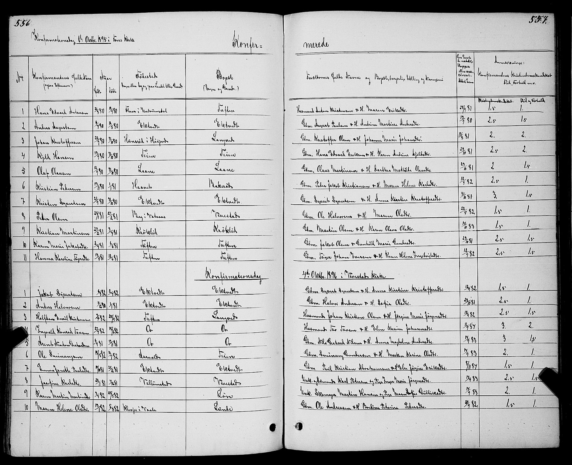 Ramnes kirkebøker, SAKO/A-314/G/Gc/L0001: Parish register (copy) no. III 1, 1869-1903, p. 556-557