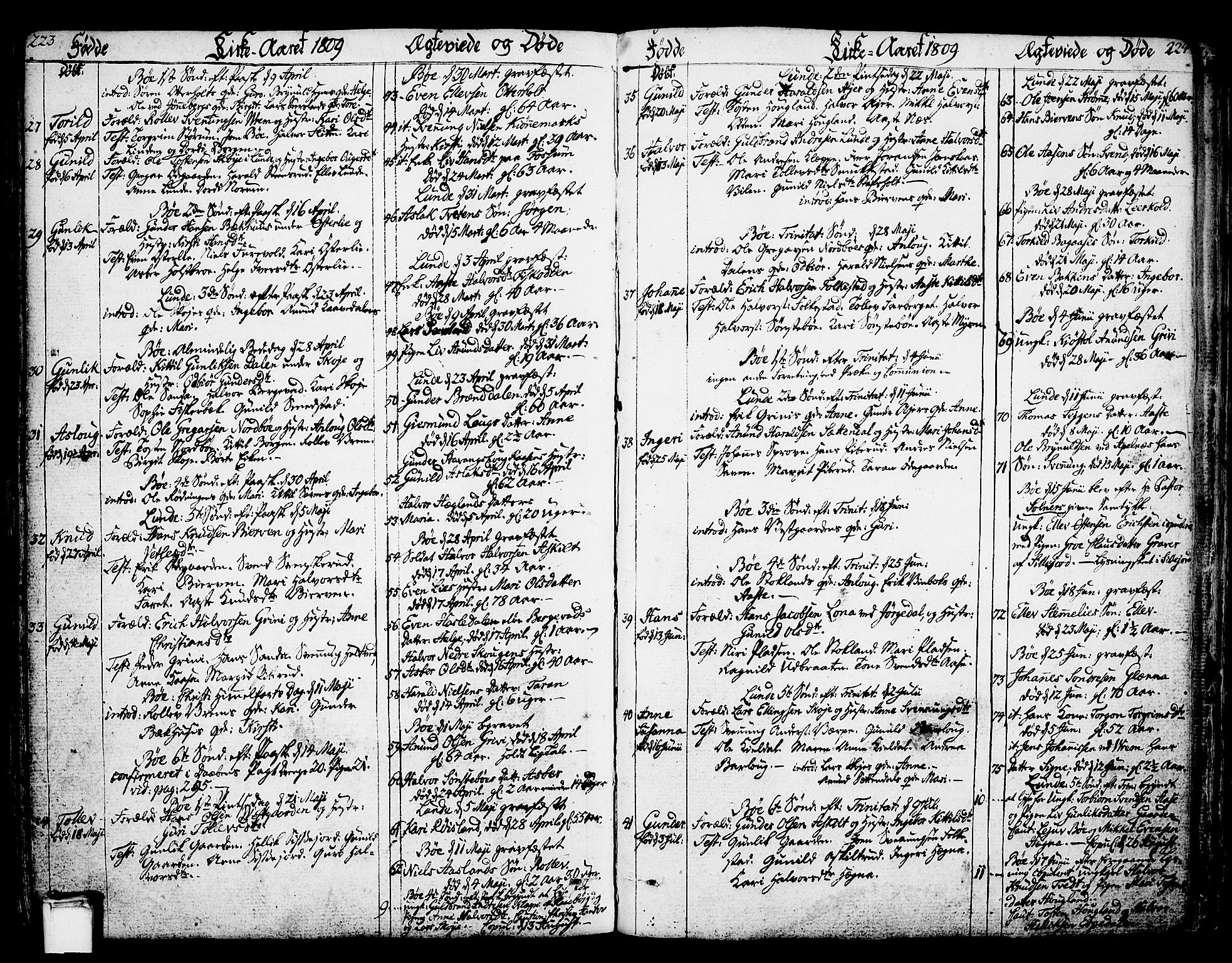 Bø kirkebøker, SAKO/A-257/F/Fa/L0005: Parish register (official) no. 5, 1785-1815, p. 223-224