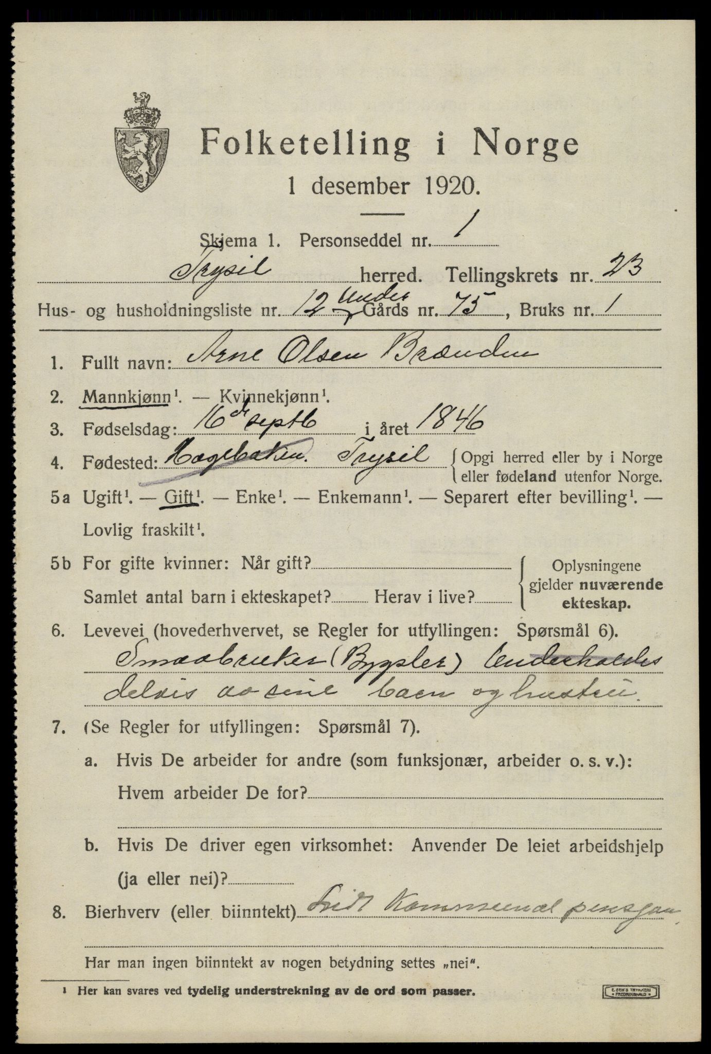 SAH, 1920 census for Trysil, 1920, p. 14973