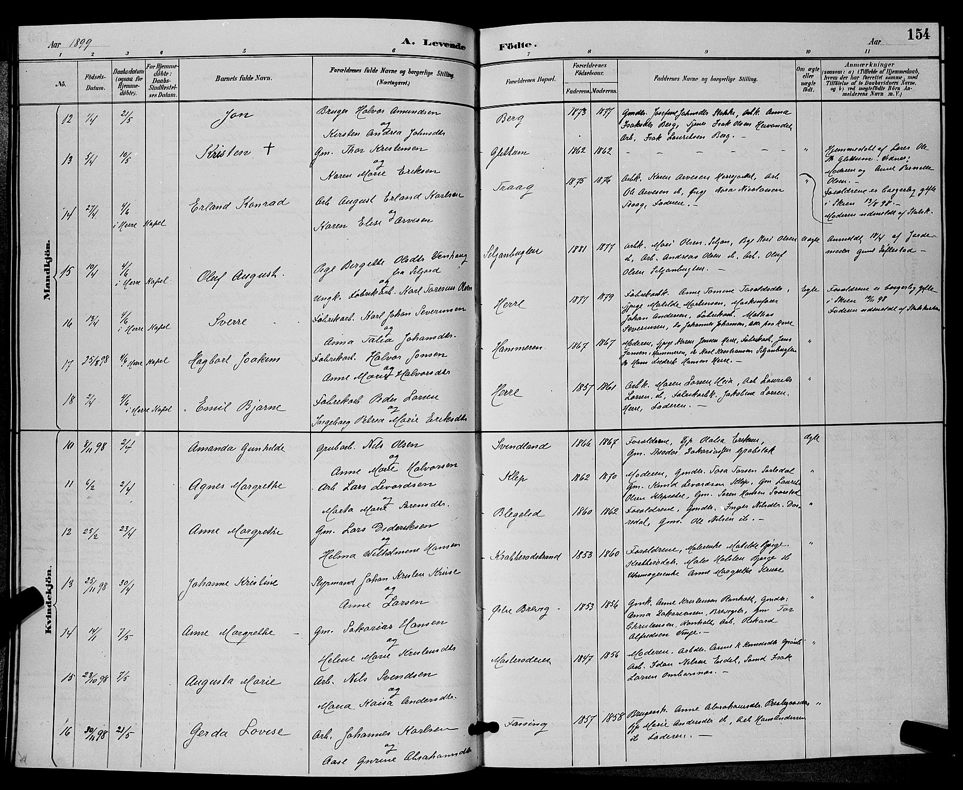 Bamble kirkebøker, SAKO/A-253/G/Ga/L0009: Parish register (copy) no. I 9, 1888-1900, p. 154