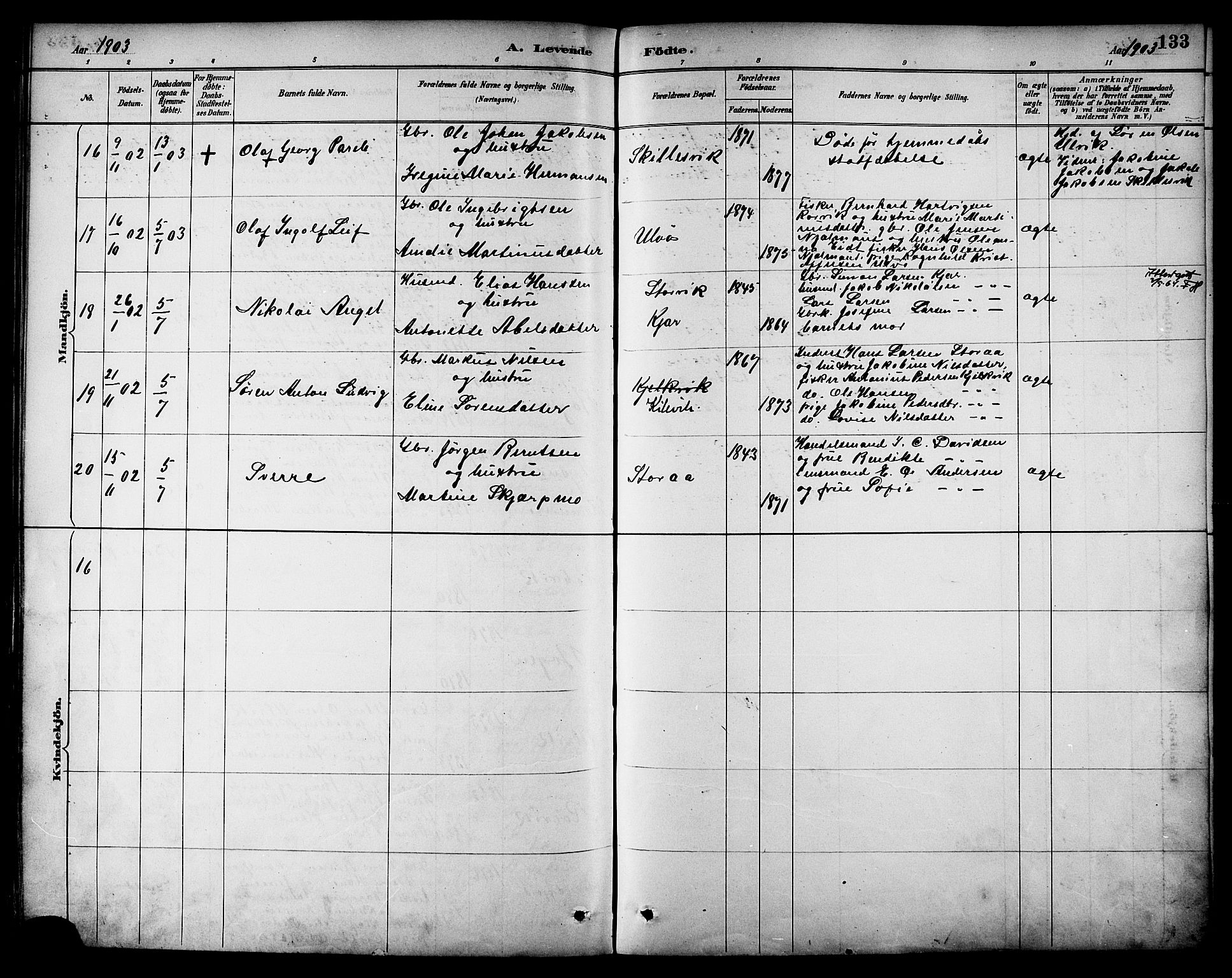 Ministerialprotokoller, klokkerbøker og fødselsregistre - Nordland, AV/SAT-A-1459/861/L0869: Parish register (official) no. 861A04, 1889-1903, p. 133