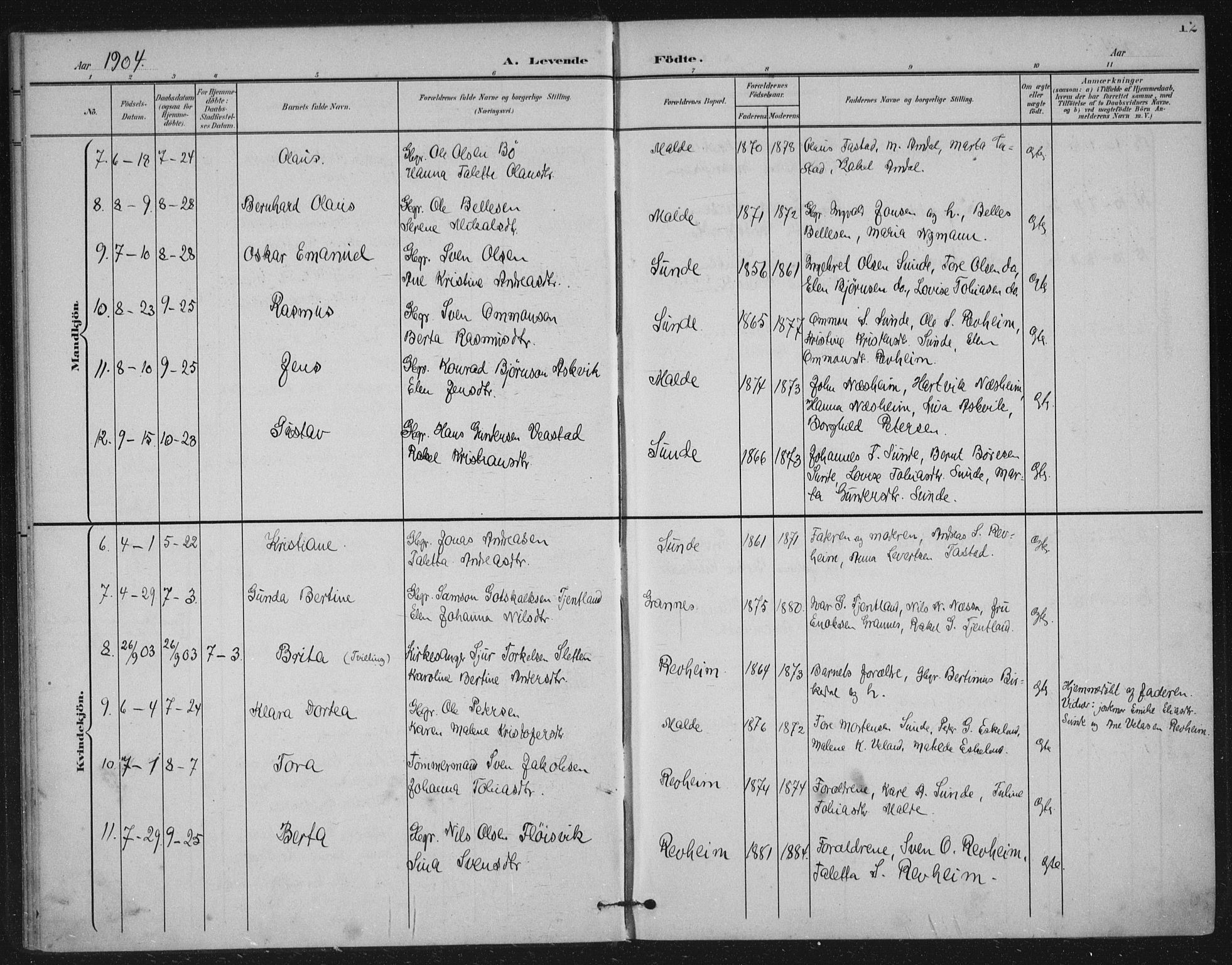 Håland sokneprestkontor, AV/SAST-A-101802/002/B/L0001: Parish register (official) no. A 13, 1901-1923, p. 12