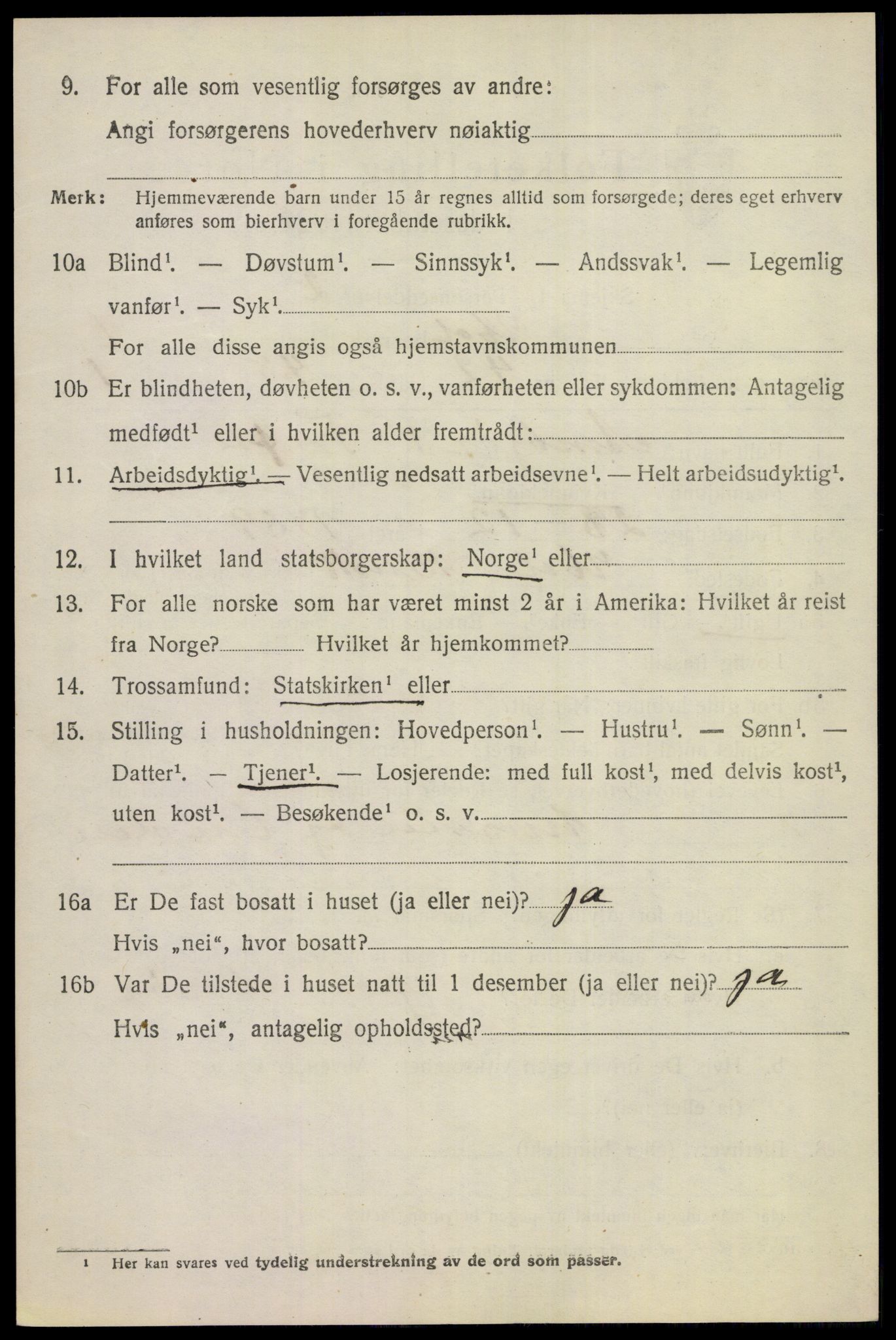 SAKO, 1920 census for Hol (Buskerud), 1920, p. 3500