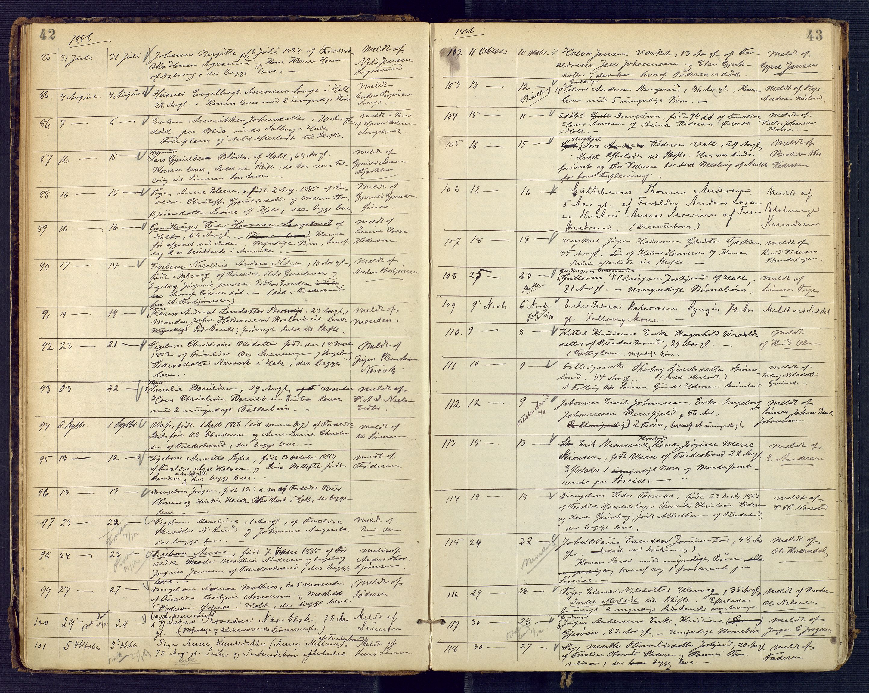 Holt sorenskriveri, AV/SAK-1221-0002/H/Ha/L0002: Dødsfallsprotokoll nr. 3, 1882-1902, p. 42-43