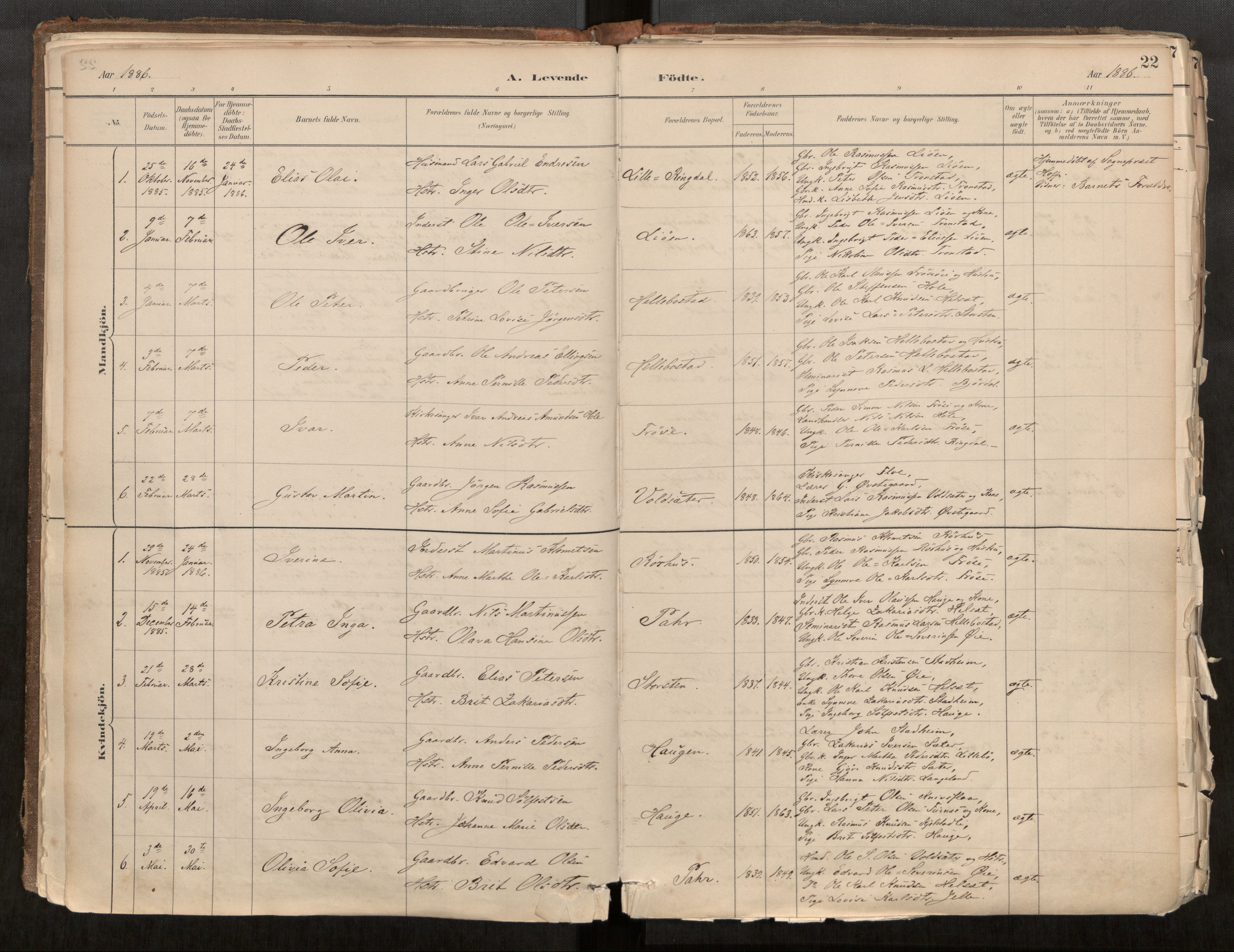 Sunnylven sokneprestkontor, SAT/A-1007: Parish register (official) no. 517A08, 1882-1939, p. 22