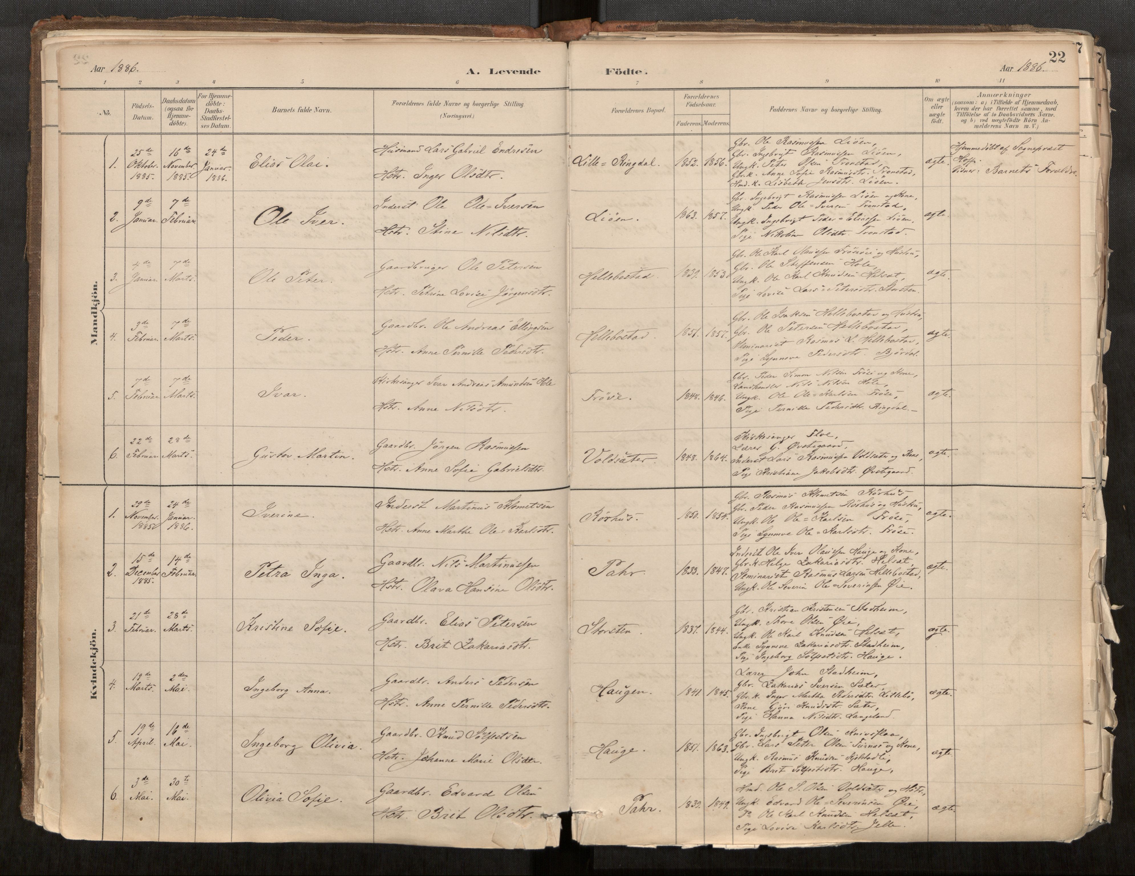 Sunnylven sokneprestkontor, AV/SAT-A-1007/H/Ha/Haa/L0002: Parish register (official) no. 517A09, 1882-1939, p. 22
