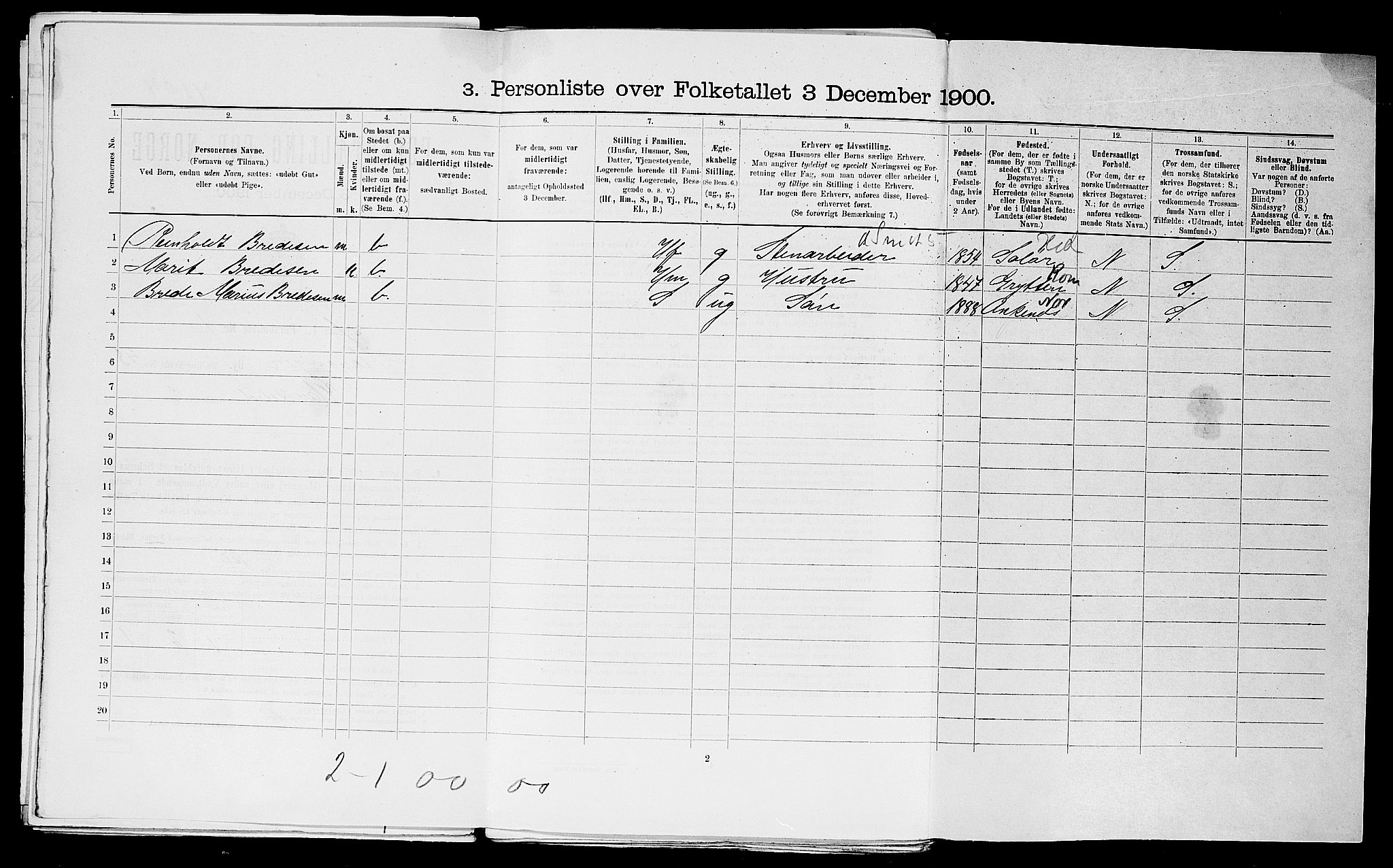 SAST, 1900 census for Stavanger, 1900, p. 19868