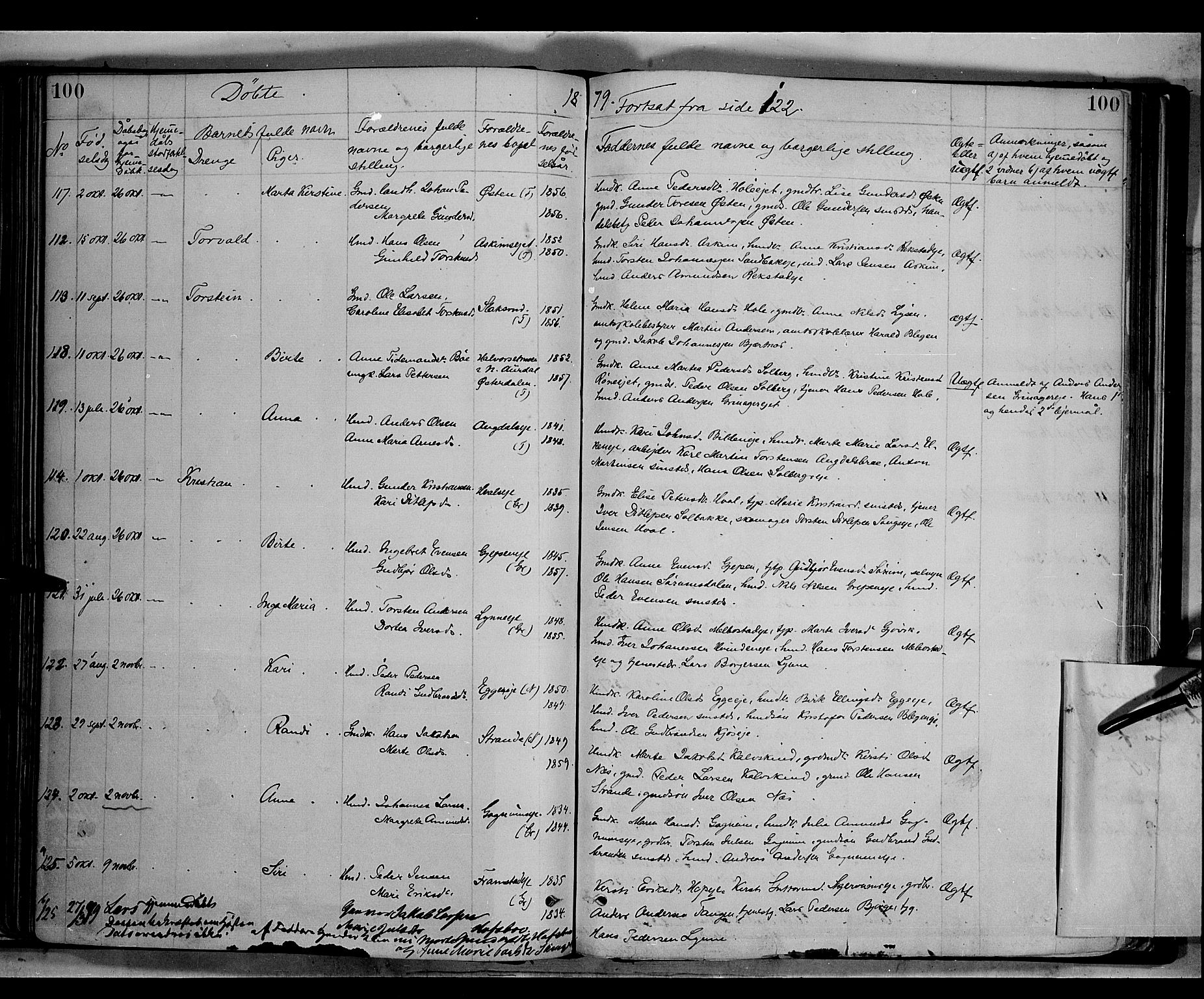 Gran prestekontor, SAH/PREST-112/H/Ha/Haa/L0013: Parish register (official) no. 13, 1875-1879, p. 100