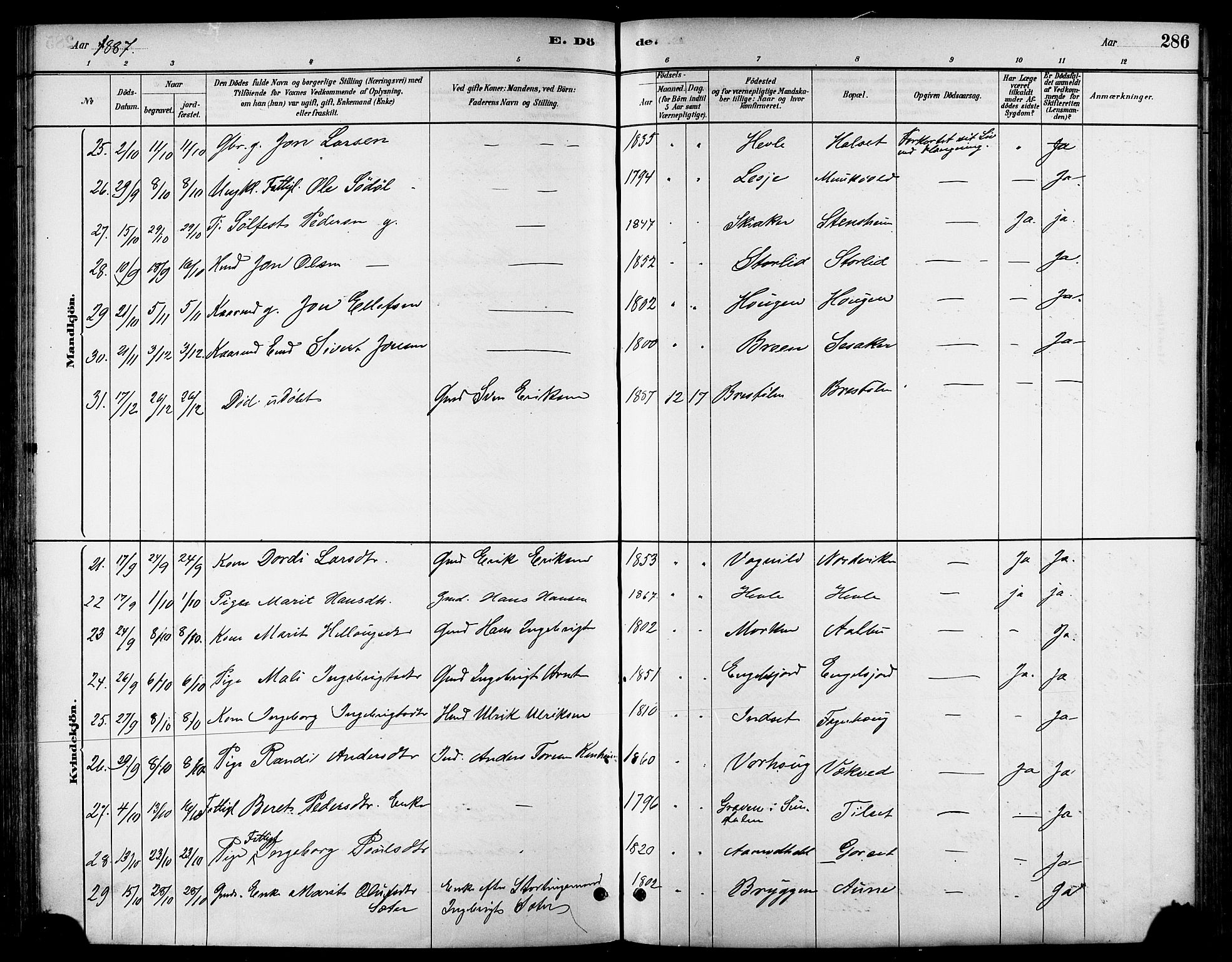 Ministerialprotokoller, klokkerbøker og fødselsregistre - Sør-Trøndelag, AV/SAT-A-1456/678/L0901: Parish register (official) no. 678A10, 1881-1894, p. 286