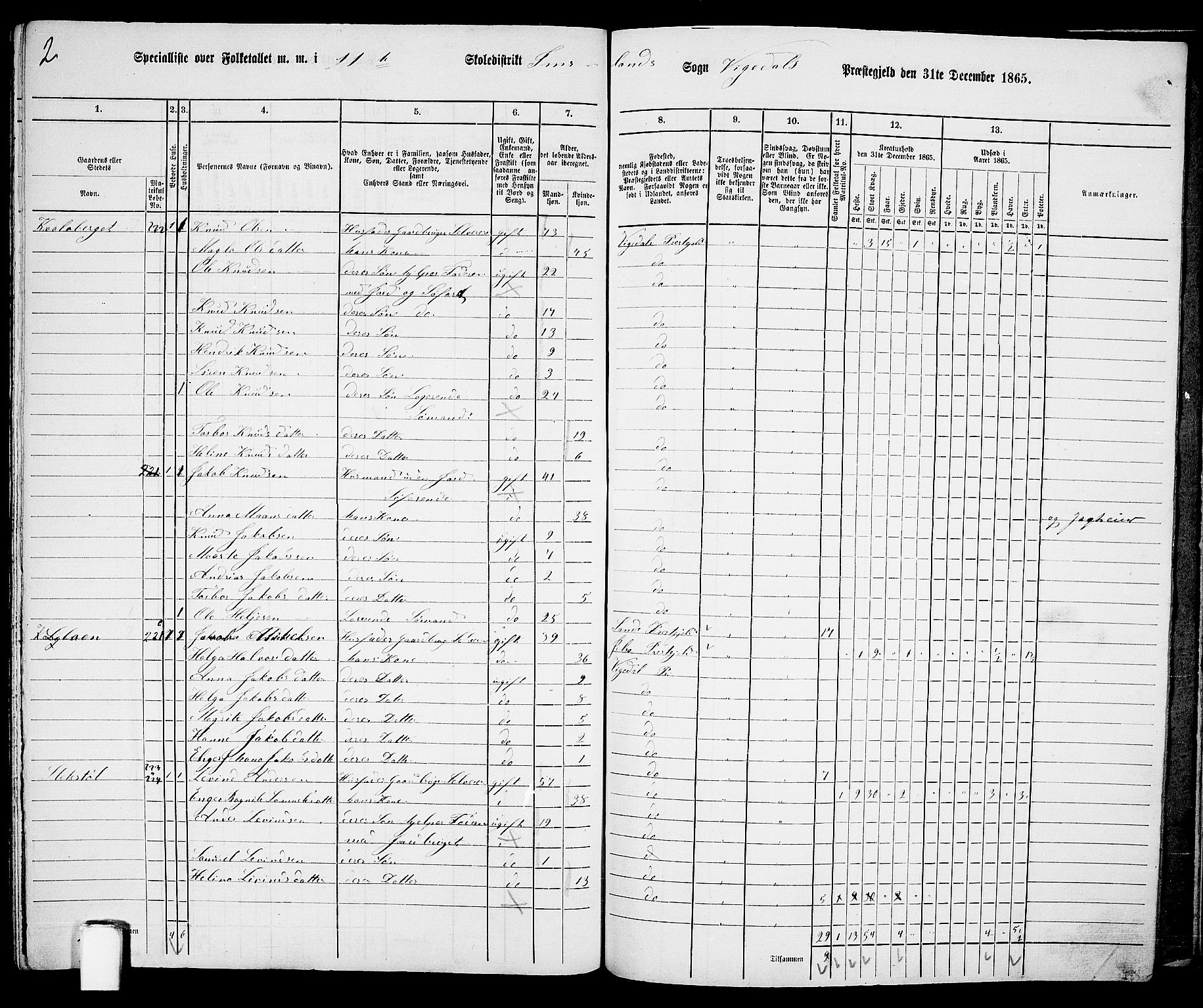 RA, 1865 census for Vikedal, 1865, p. 107