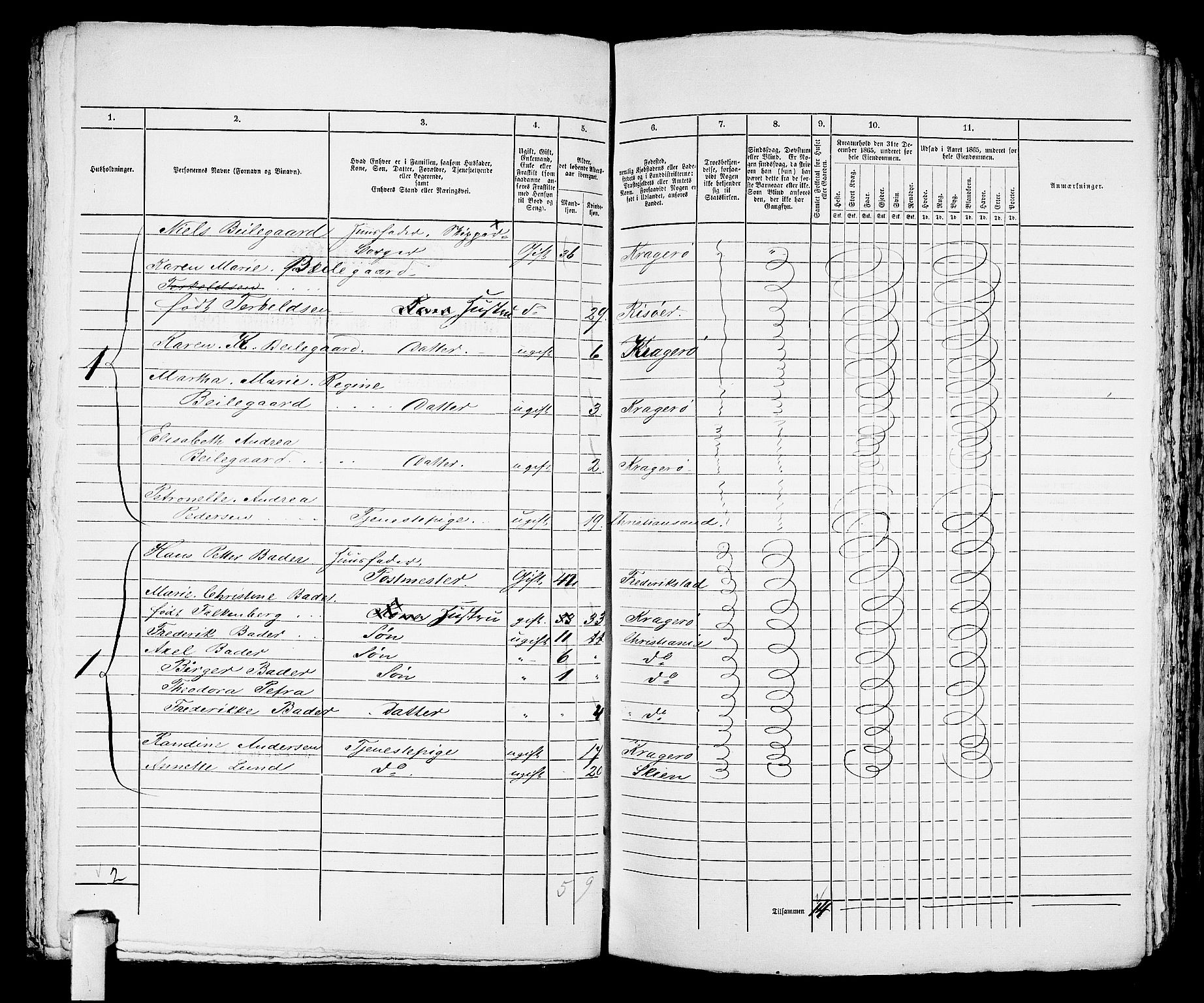 RA, 1865 census for Kragerø/Kragerø, 1865, p. 779