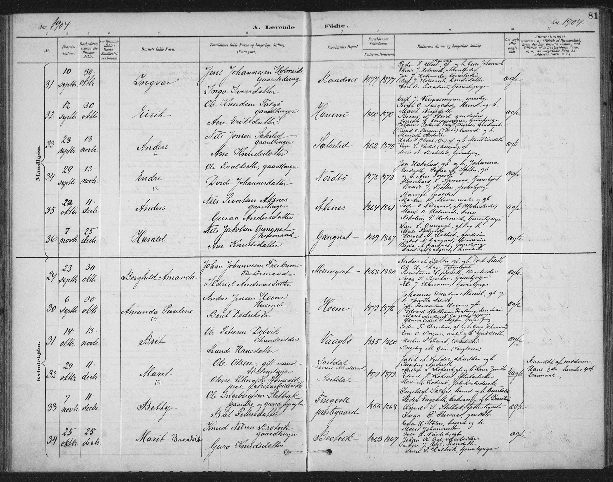 Ministerialprotokoller, klokkerbøker og fødselsregistre - Møre og Romsdal, AV/SAT-A-1454/586/L0988: Parish register (official) no. 586A14, 1893-1905, p. 81