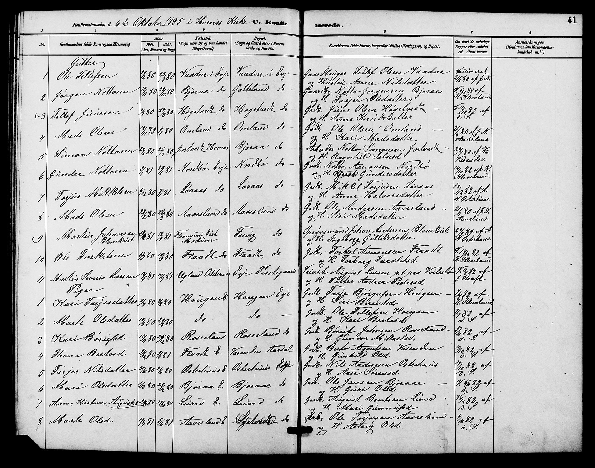 Evje sokneprestkontor, AV/SAK-1111-0008/F/Fb/Fba/L0003: Parish register (copy) no. B 3, 1888-1903, p. 41