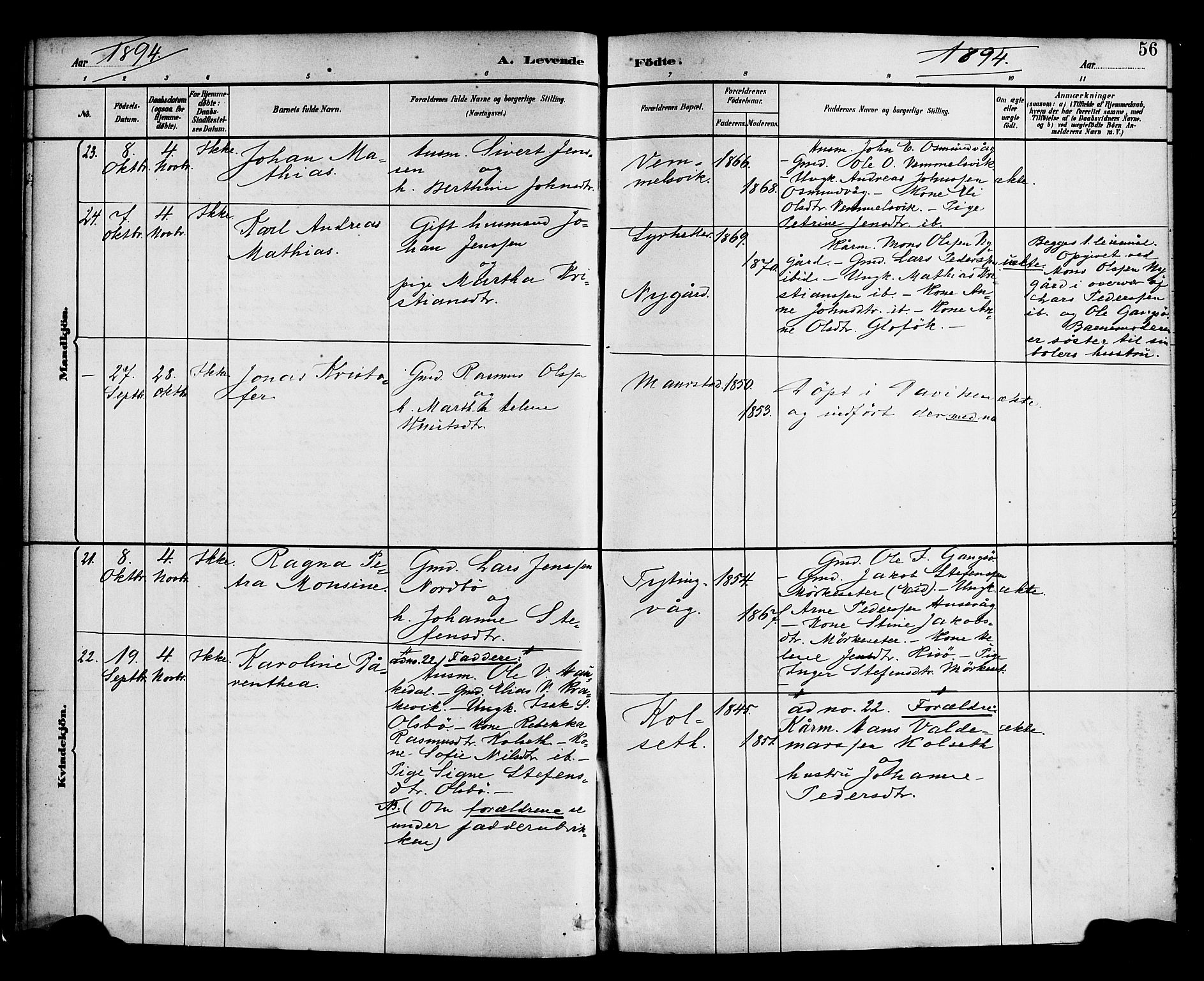 Davik sokneprestembete, SAB/A-79701/H/Haa/Haad/L0001: Parish register (official) no. D 1, 1882-1900, p. 56
