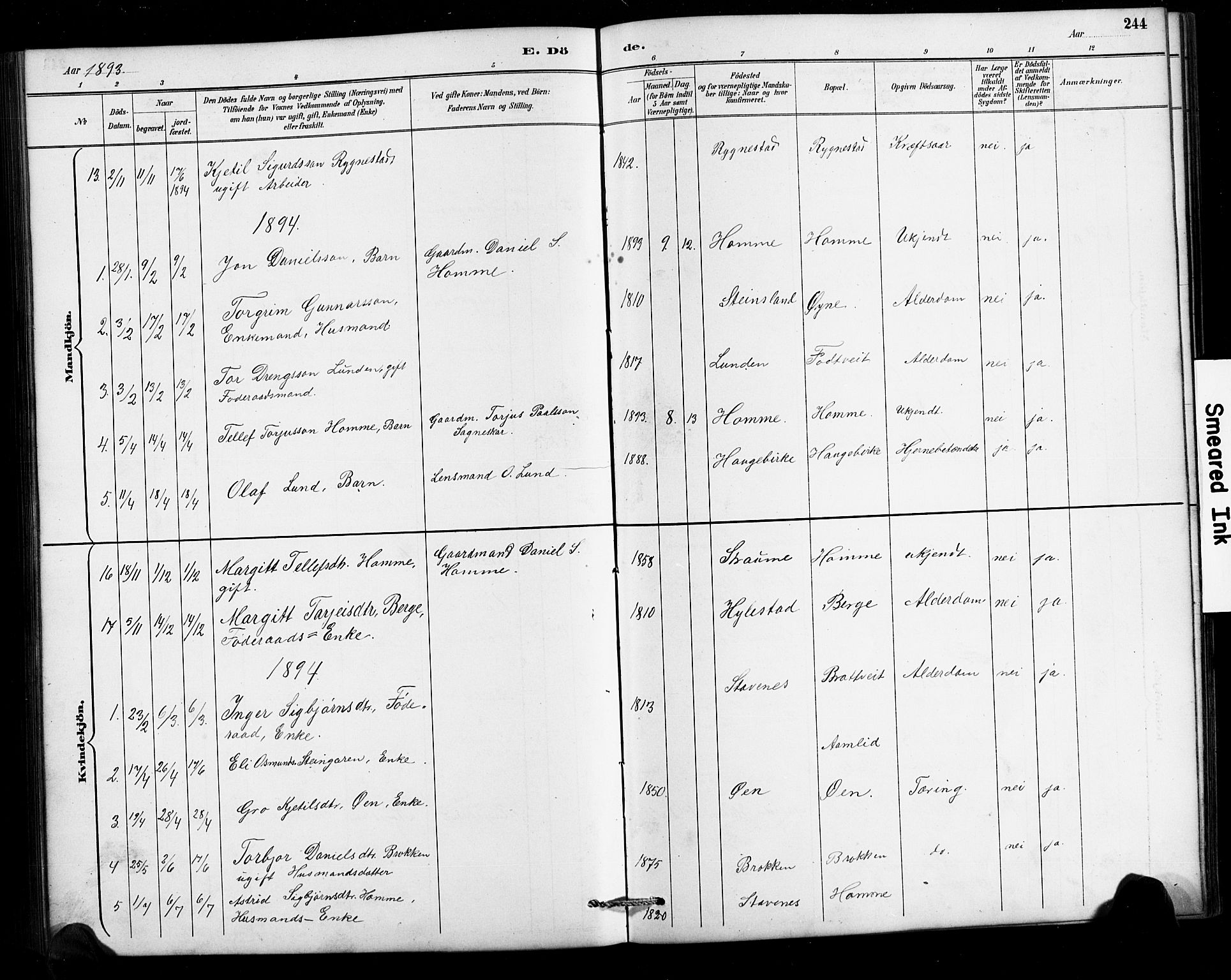 Valle sokneprestkontor, SAK/1111-0044/F/Fb/Fbc/L0004: Parish register (copy) no. B 4, 1890-1928, p. 244