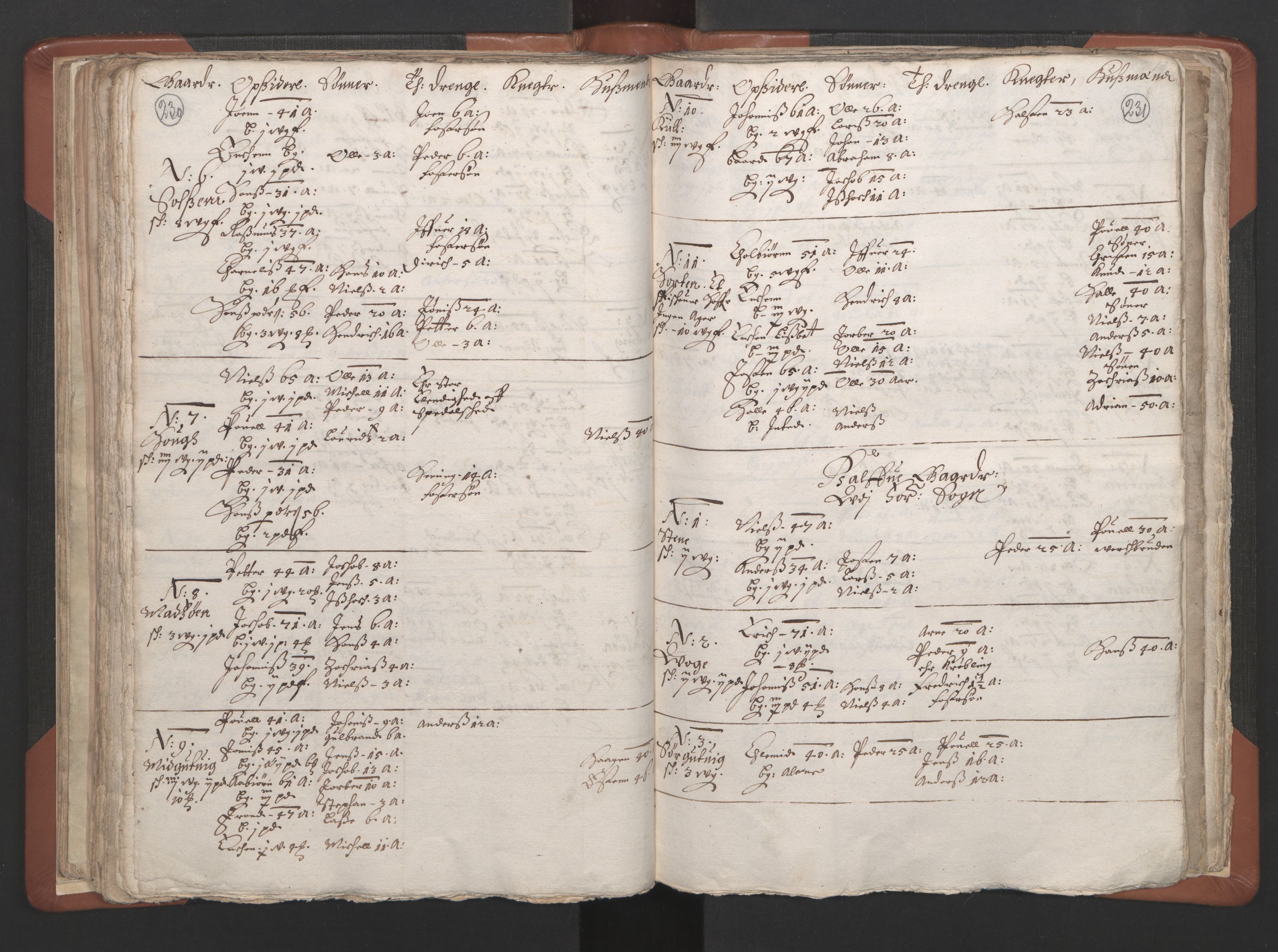 RA, Vicar's Census 1664-1666, no. 34: Namdal deanery, 1664-1666, p. 230-231