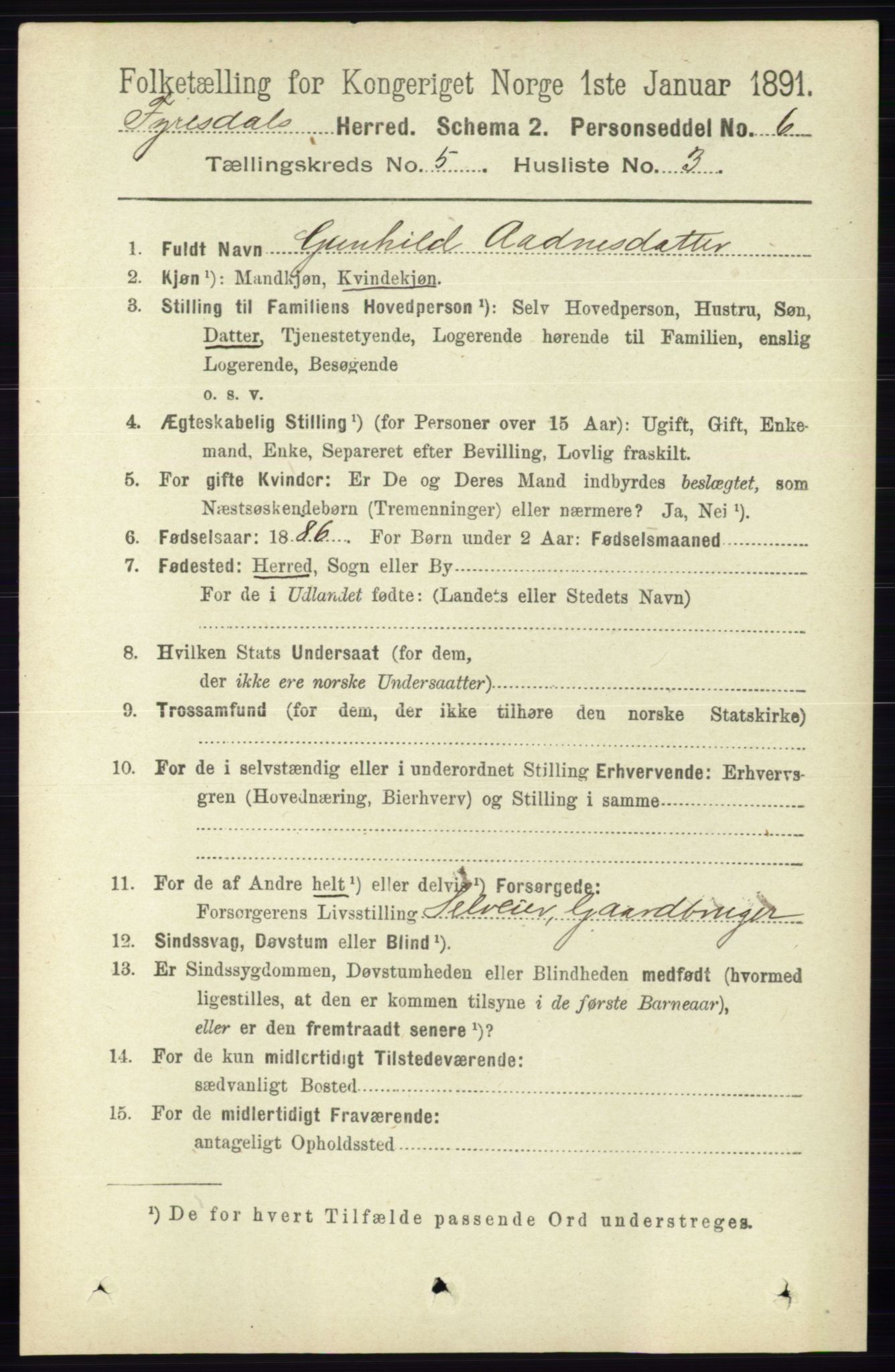 RA, 1891 census for 0831 Fyresdal, 1891, p. 1303