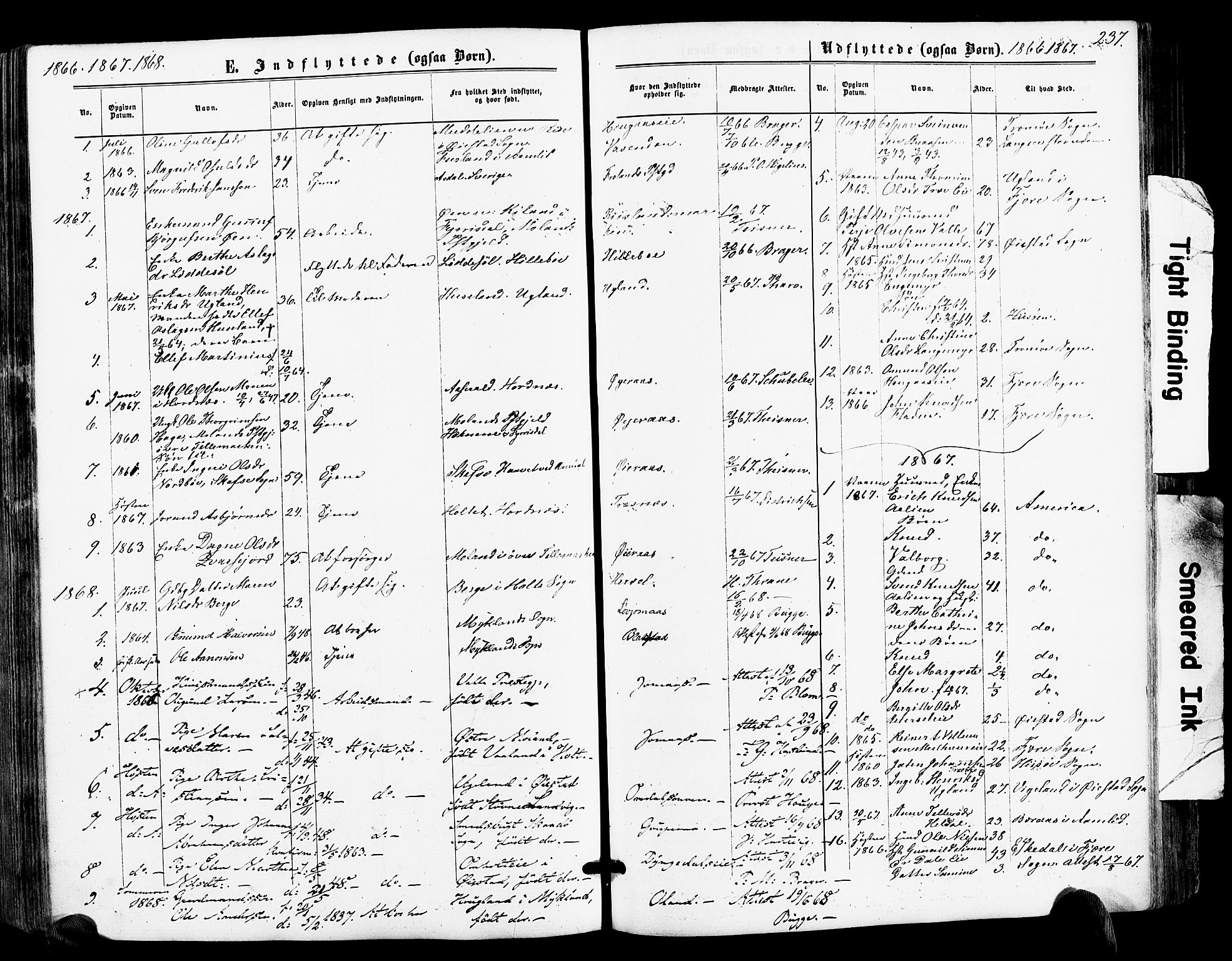 Froland sokneprestkontor, AV/SAK-1111-0013/F/Fa/L0003: Parish register (official) no. A 3, 1864-1881, p. 237