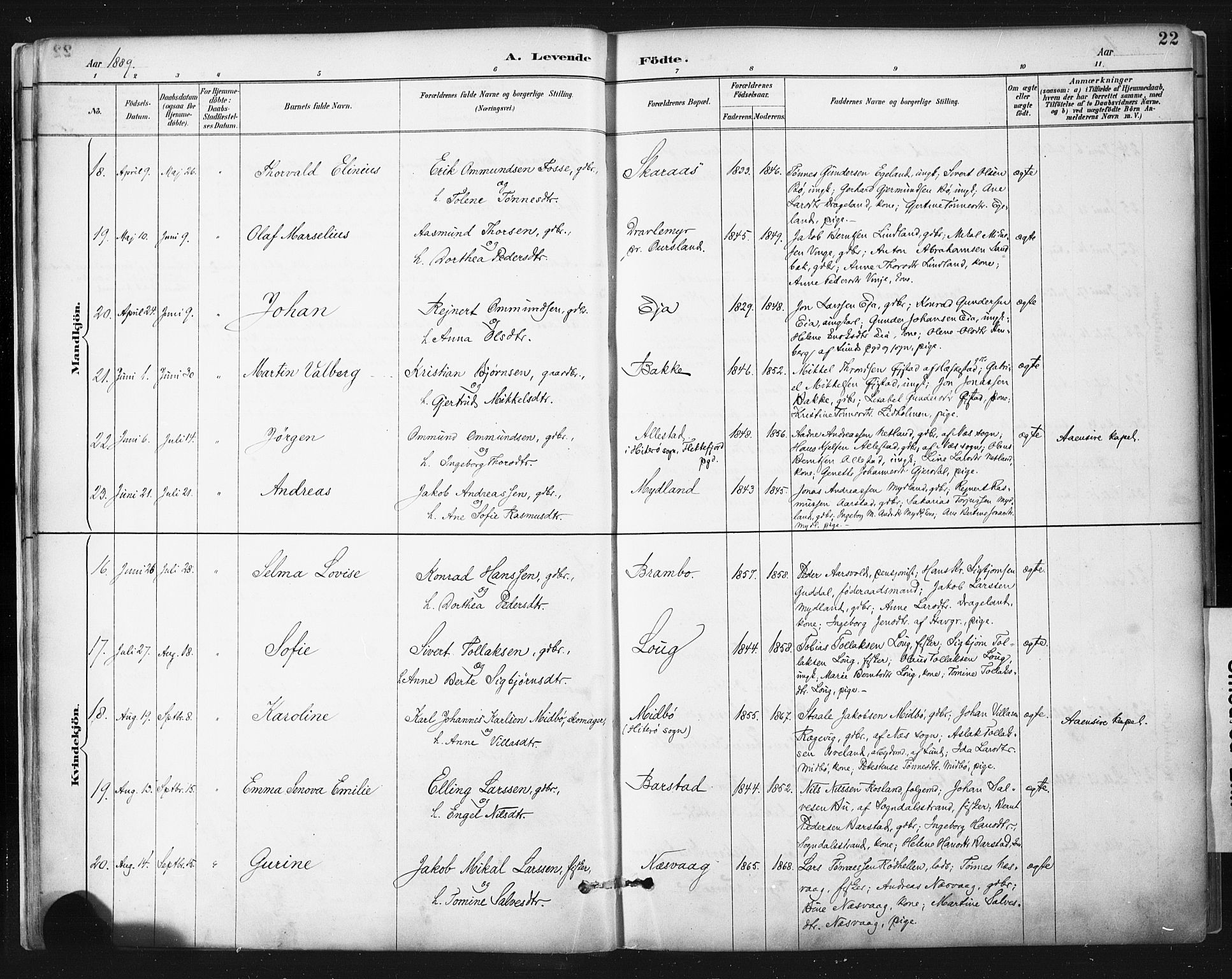 Sokndal sokneprestkontor, AV/SAST-A-101808: Parish register (official) no. A 11.1, 1887-1905, p. 22