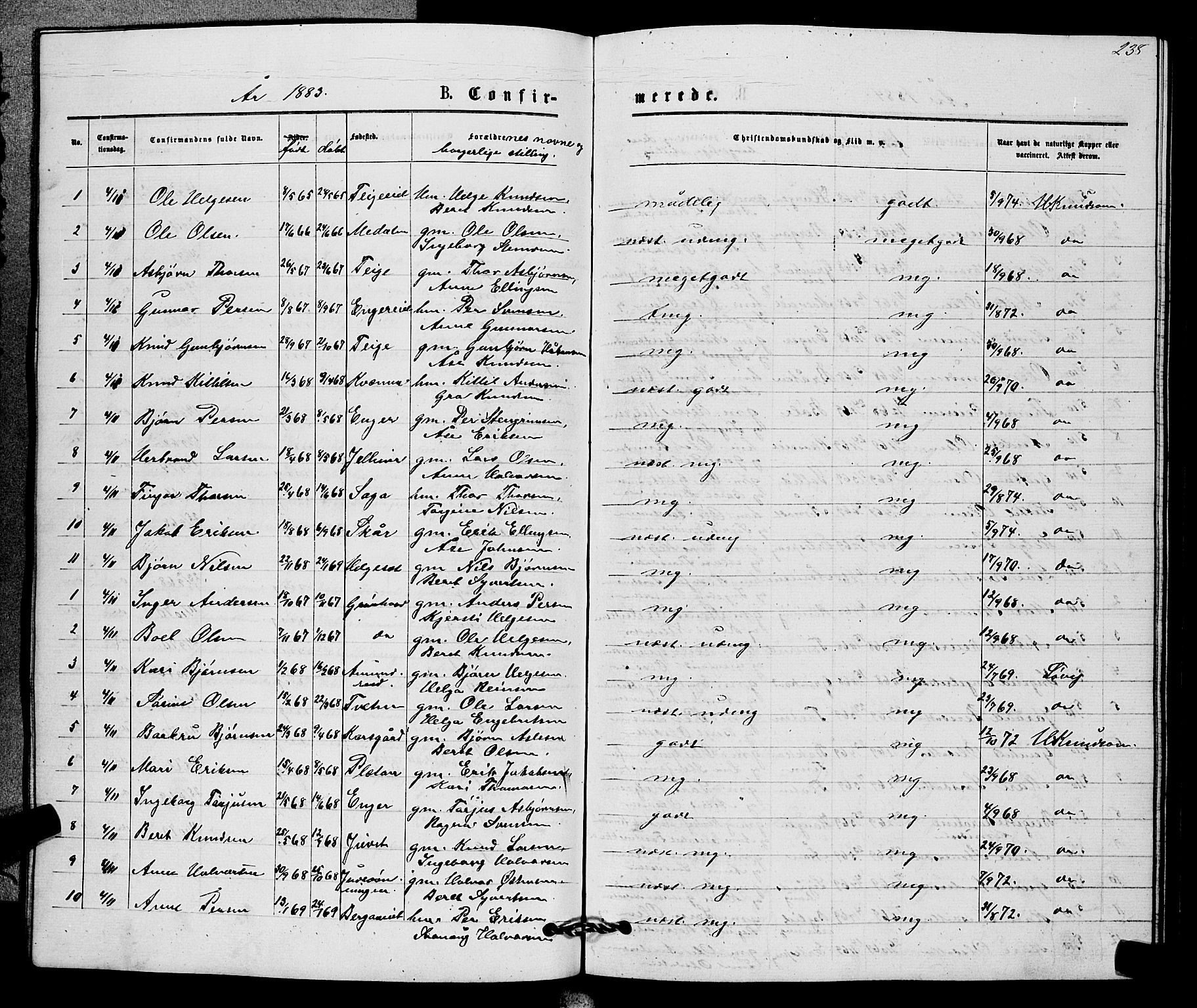 Sigdal kirkebøker, AV/SAKO-A-245/G/Gb/L0002: Parish register (copy) no. II 2, 1875-1900, p. 238